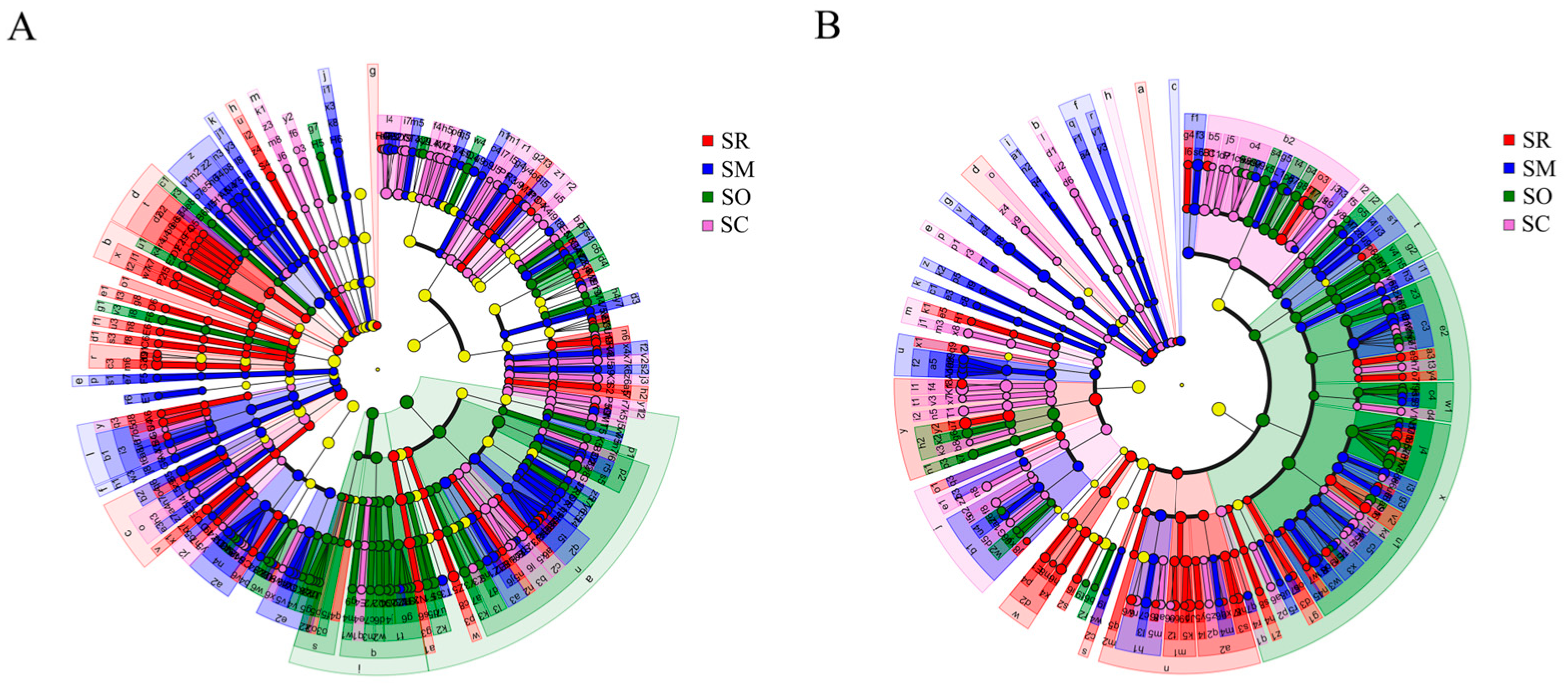 Microorganisms 13 01749 g004