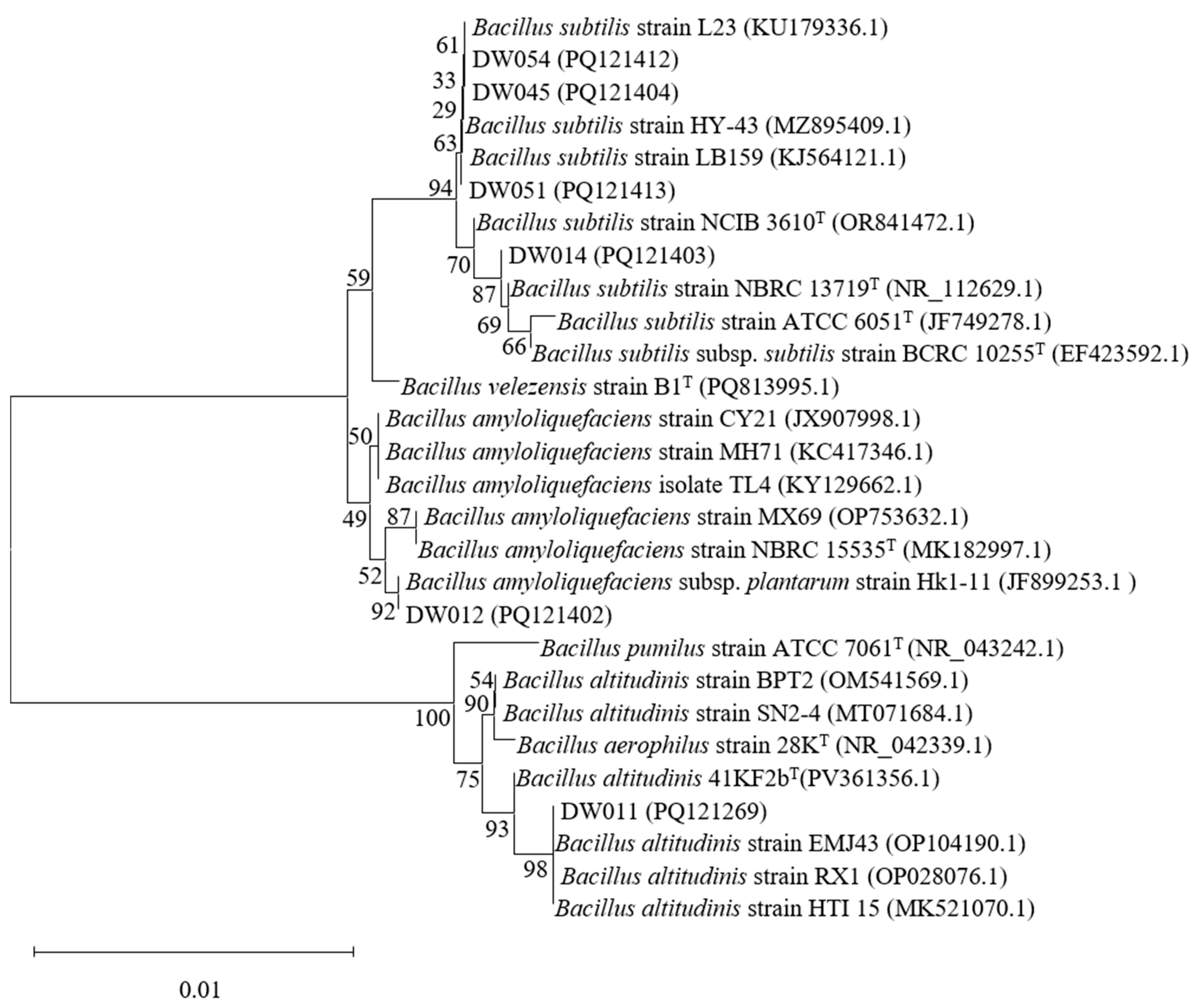 Microorganisms 13 01753 g002