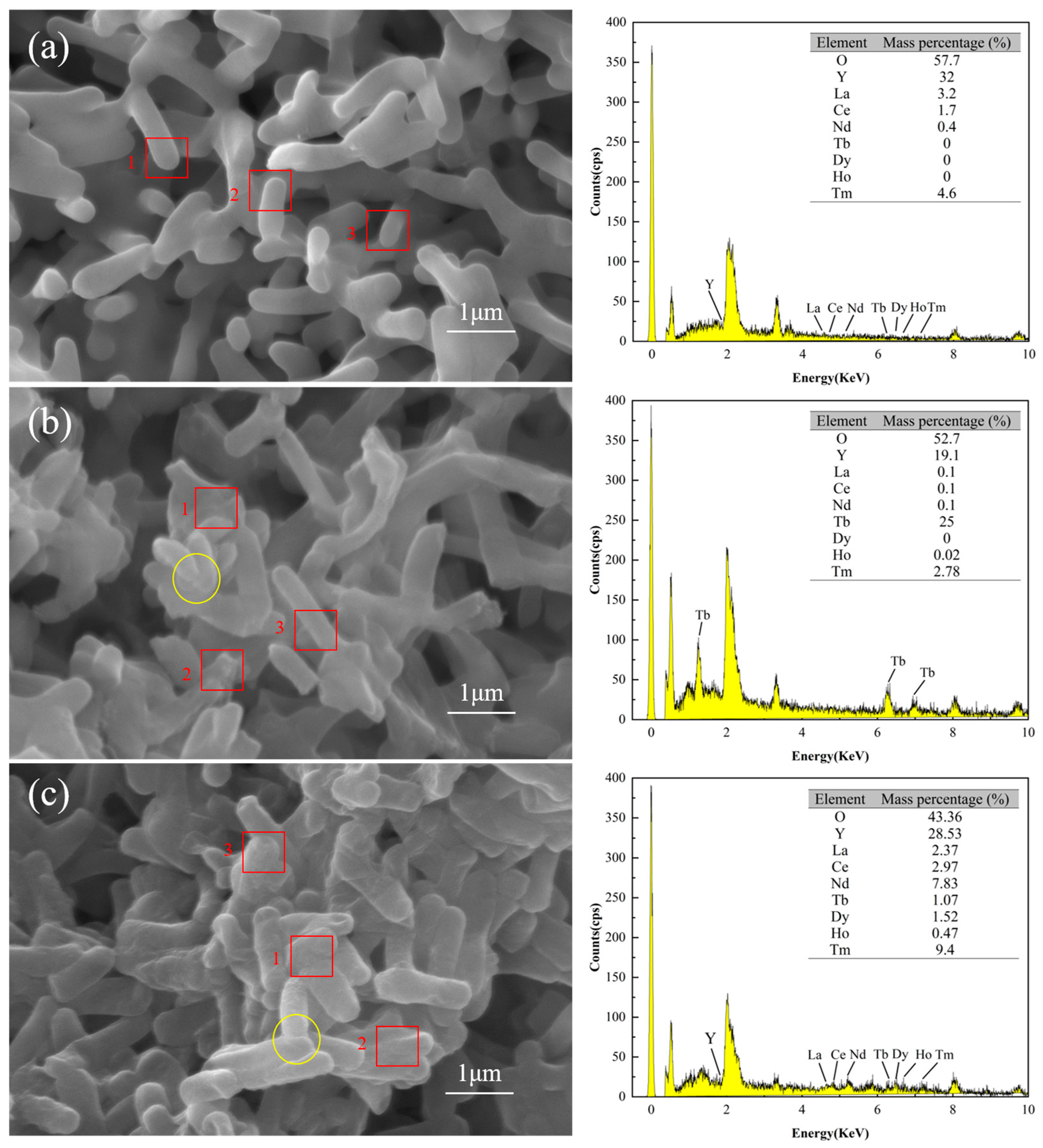 Microorganisms 13 01753 g006