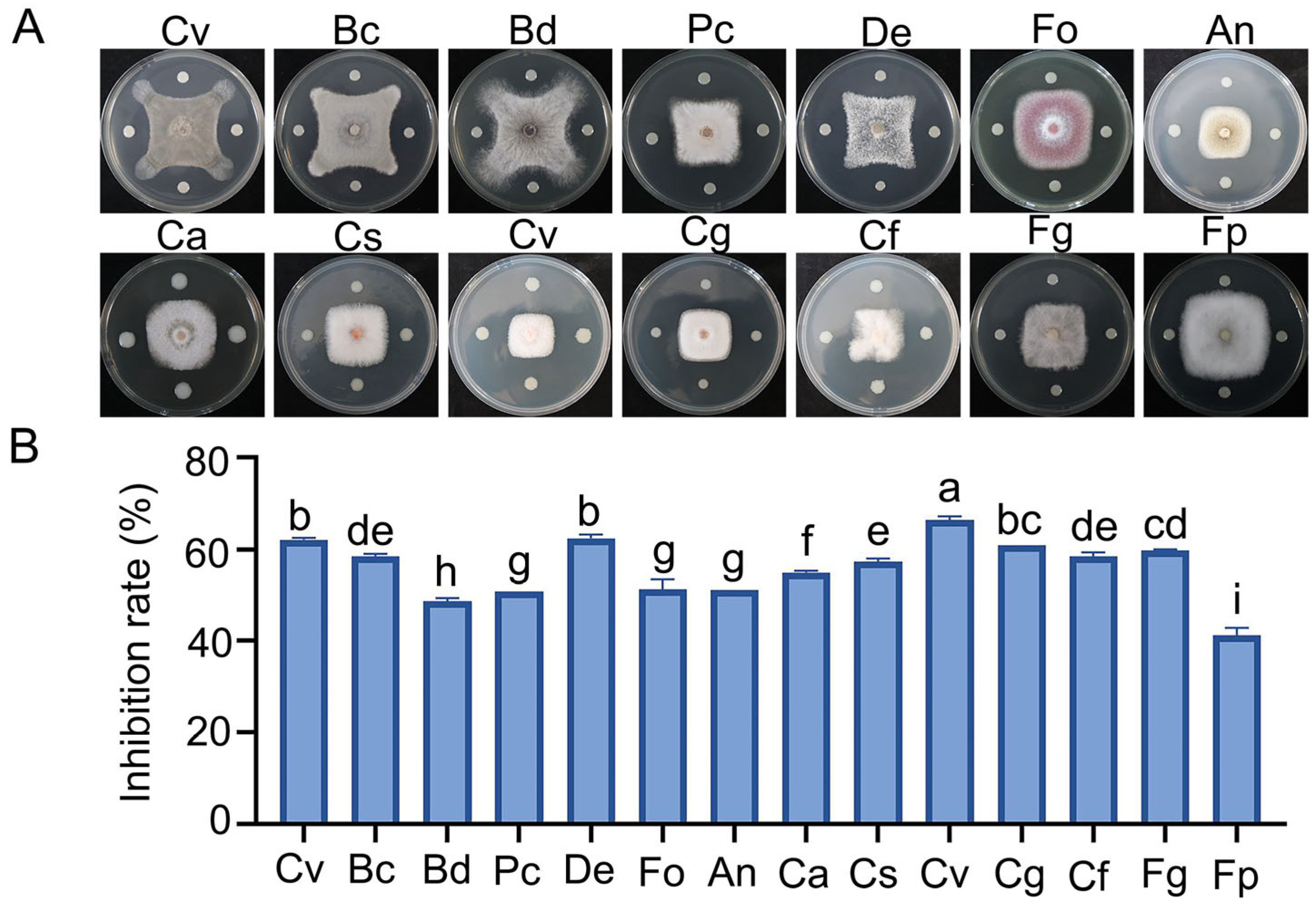 Microorganisms 13 01756 g001