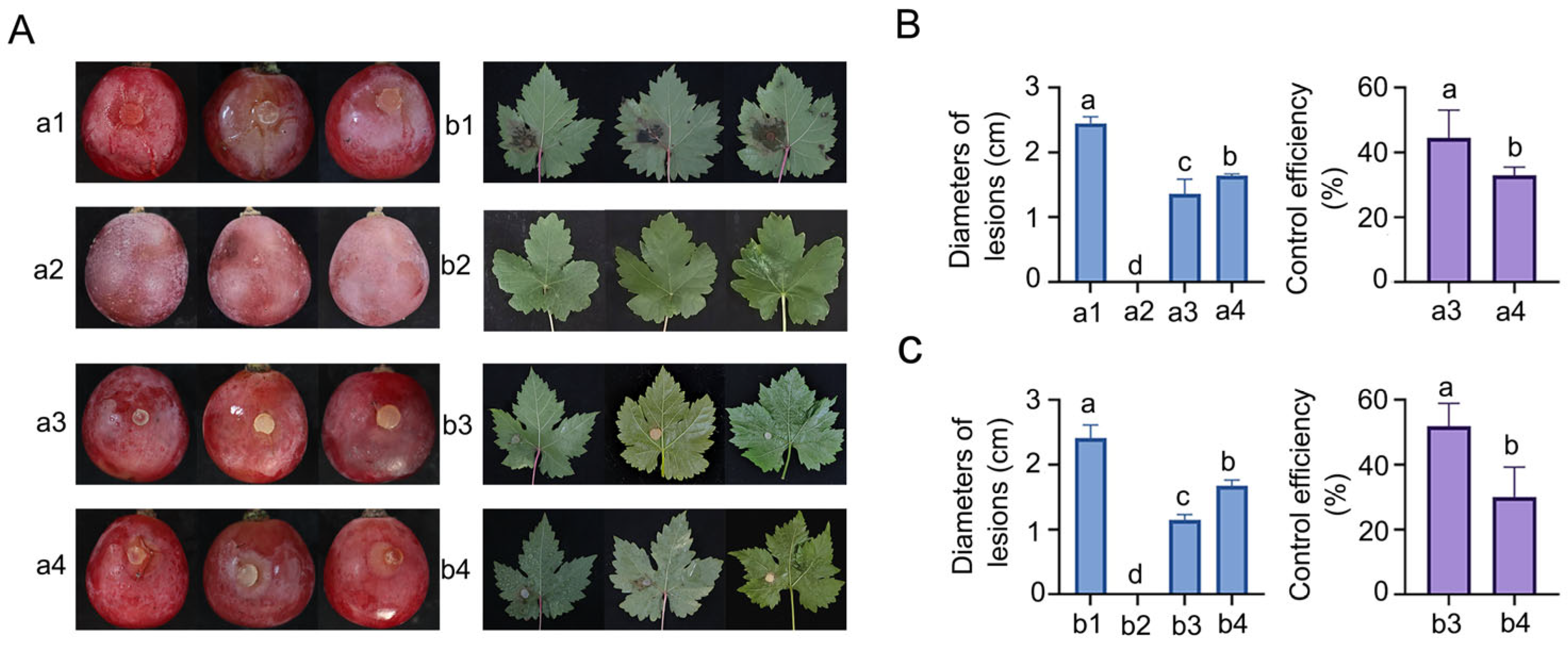 Microorganisms 13 01756 g002