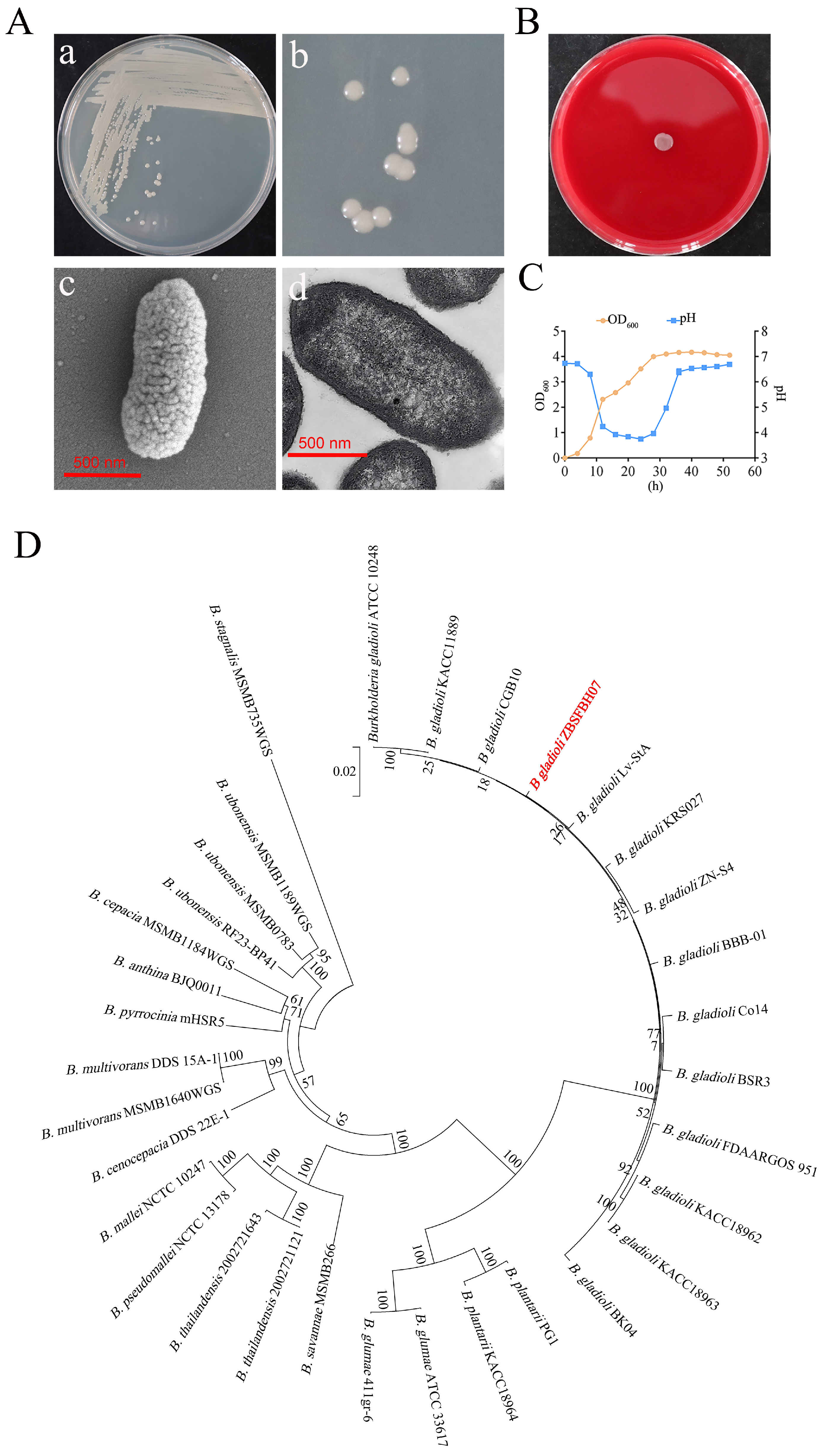 Microorganisms 13 01756 g005