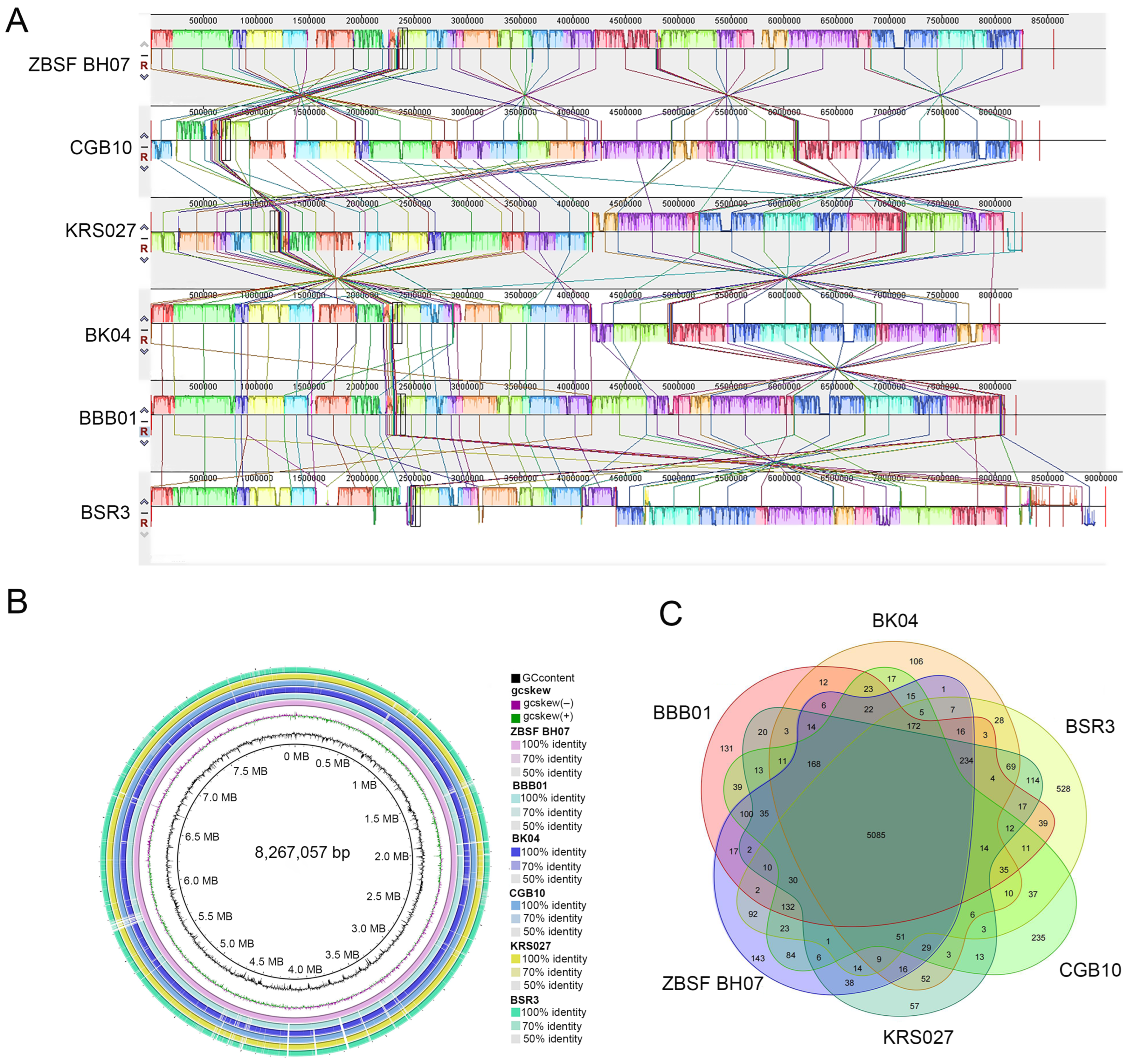 Microorganisms 13 01756 g006
