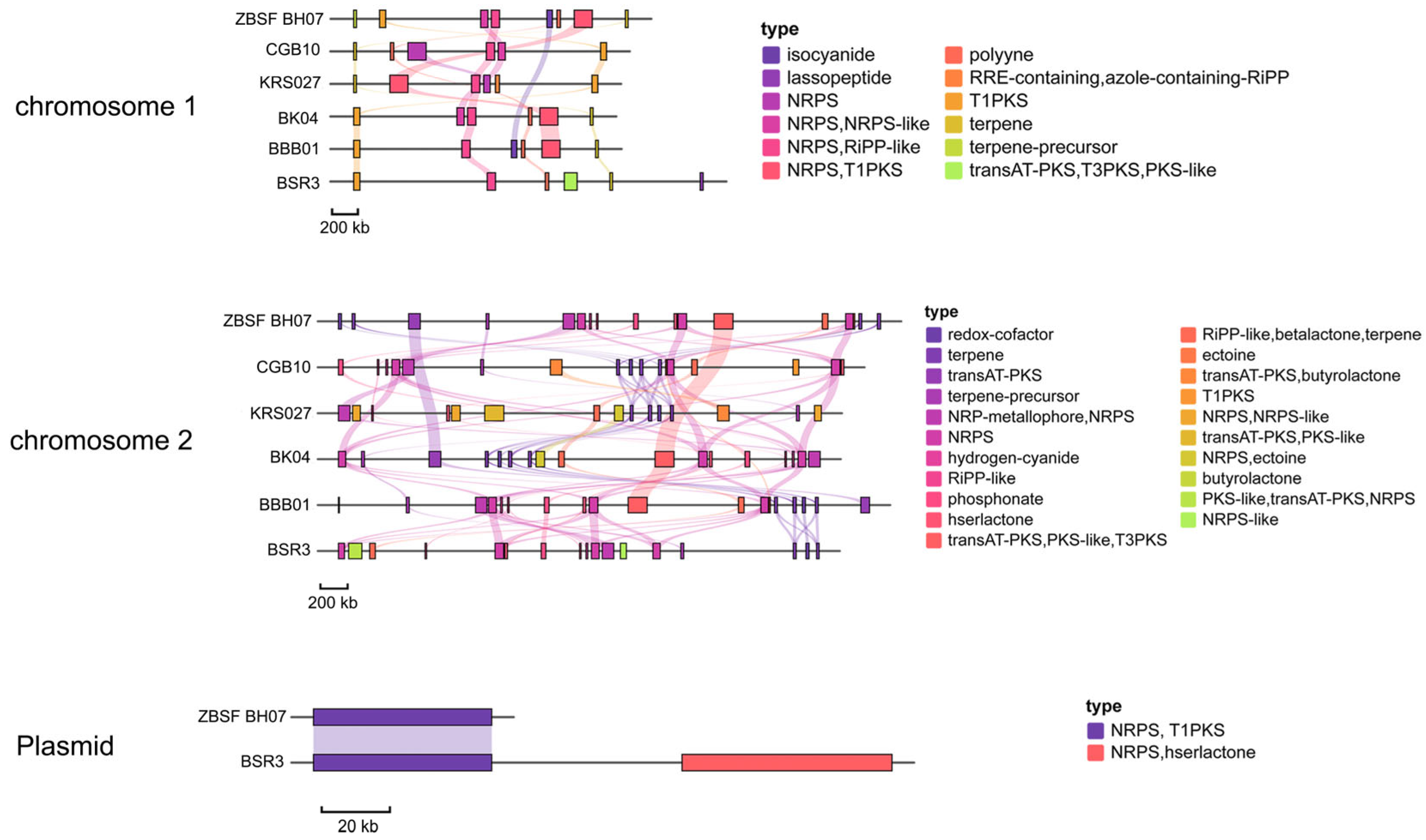 Microorganisms 13 01756 g007