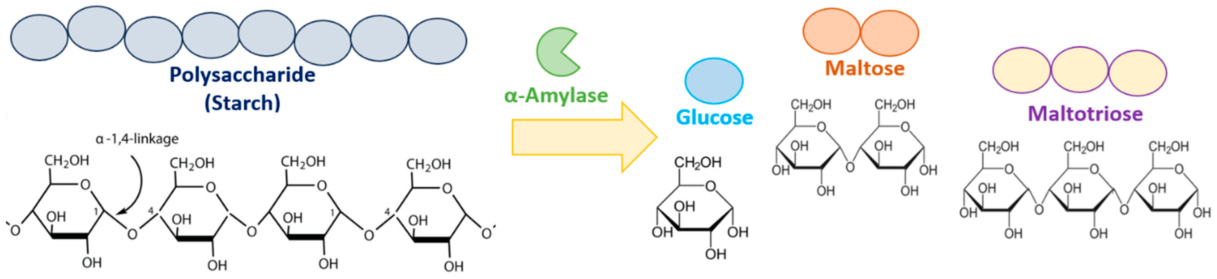 Microorganisms 13 01757 g001