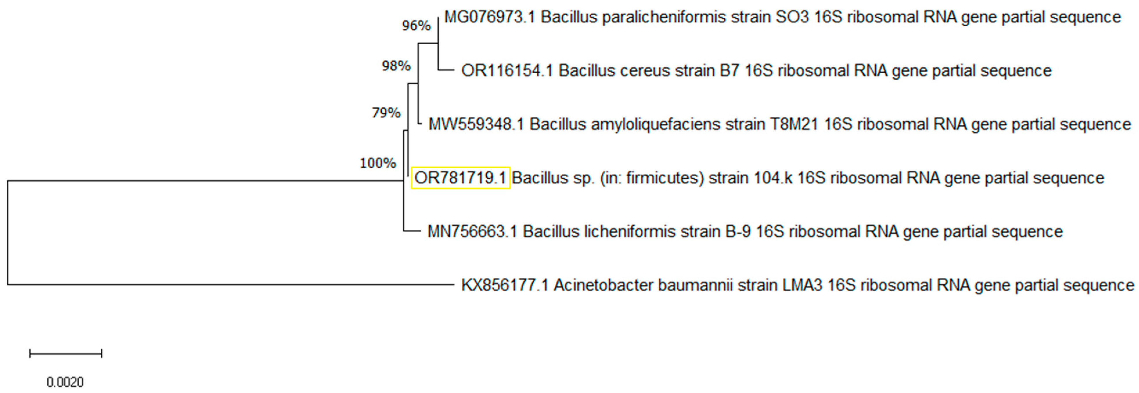 Microorganisms 13 01757 g002