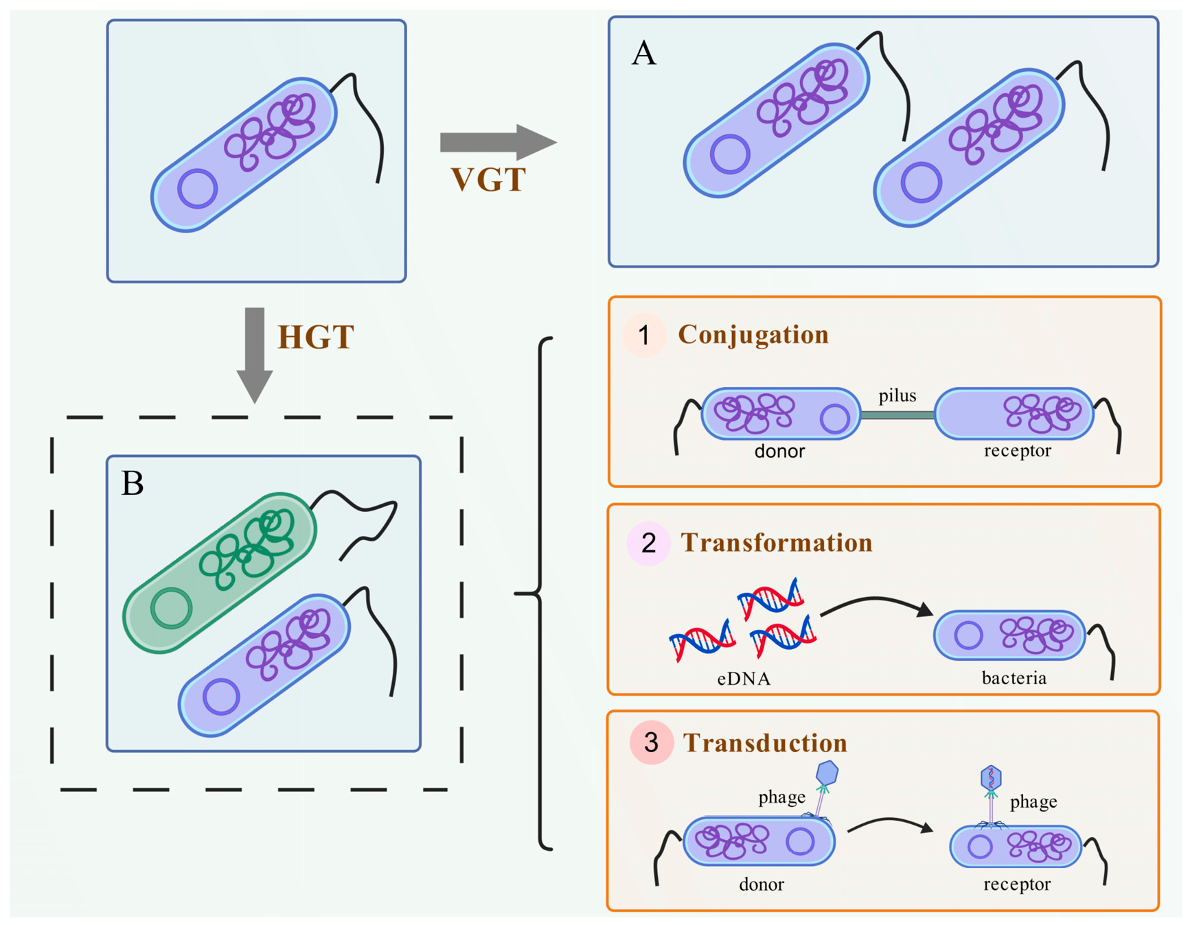 Microorganisms 13 01763 g002