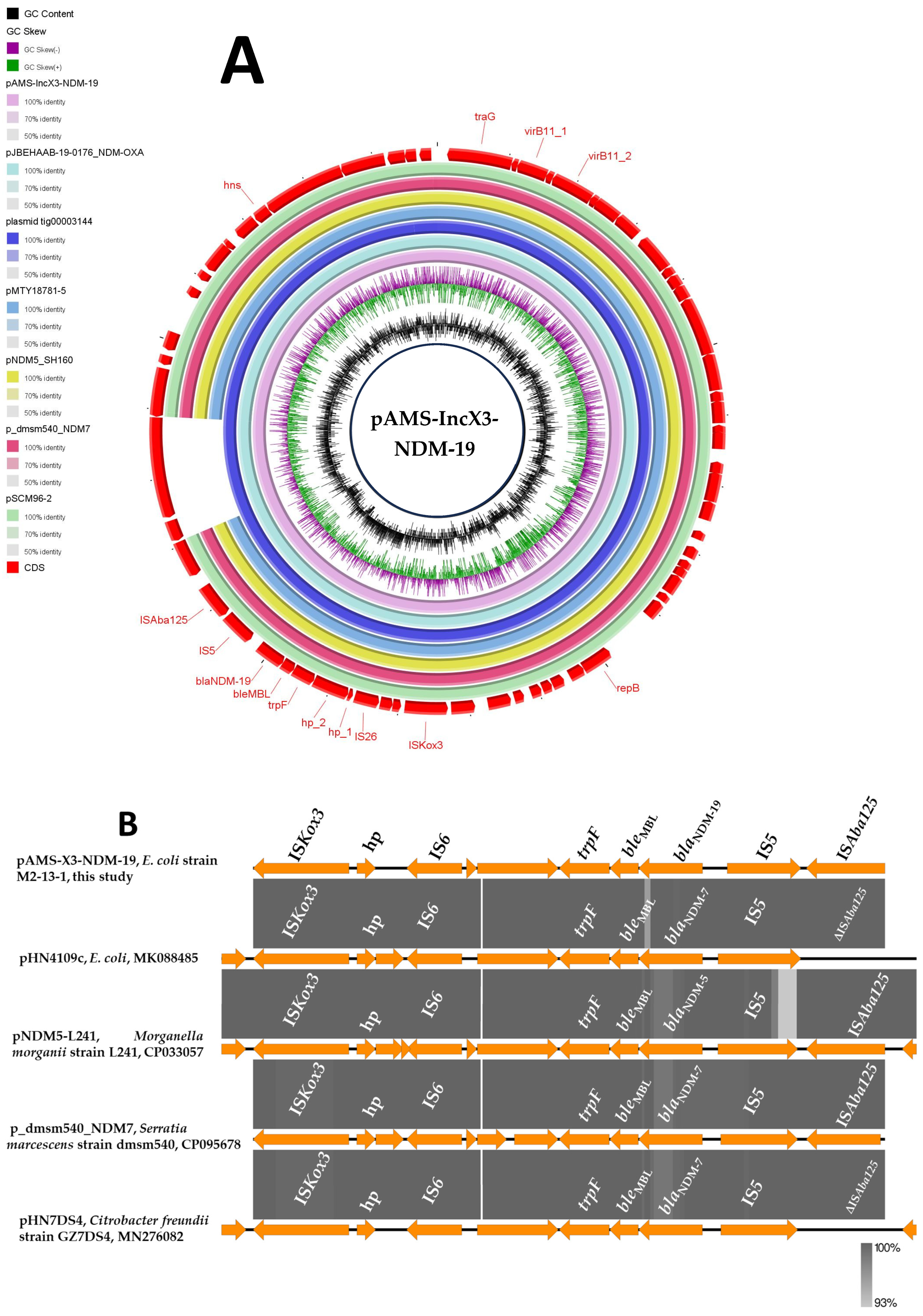 Microorganisms 13 01769 g001
