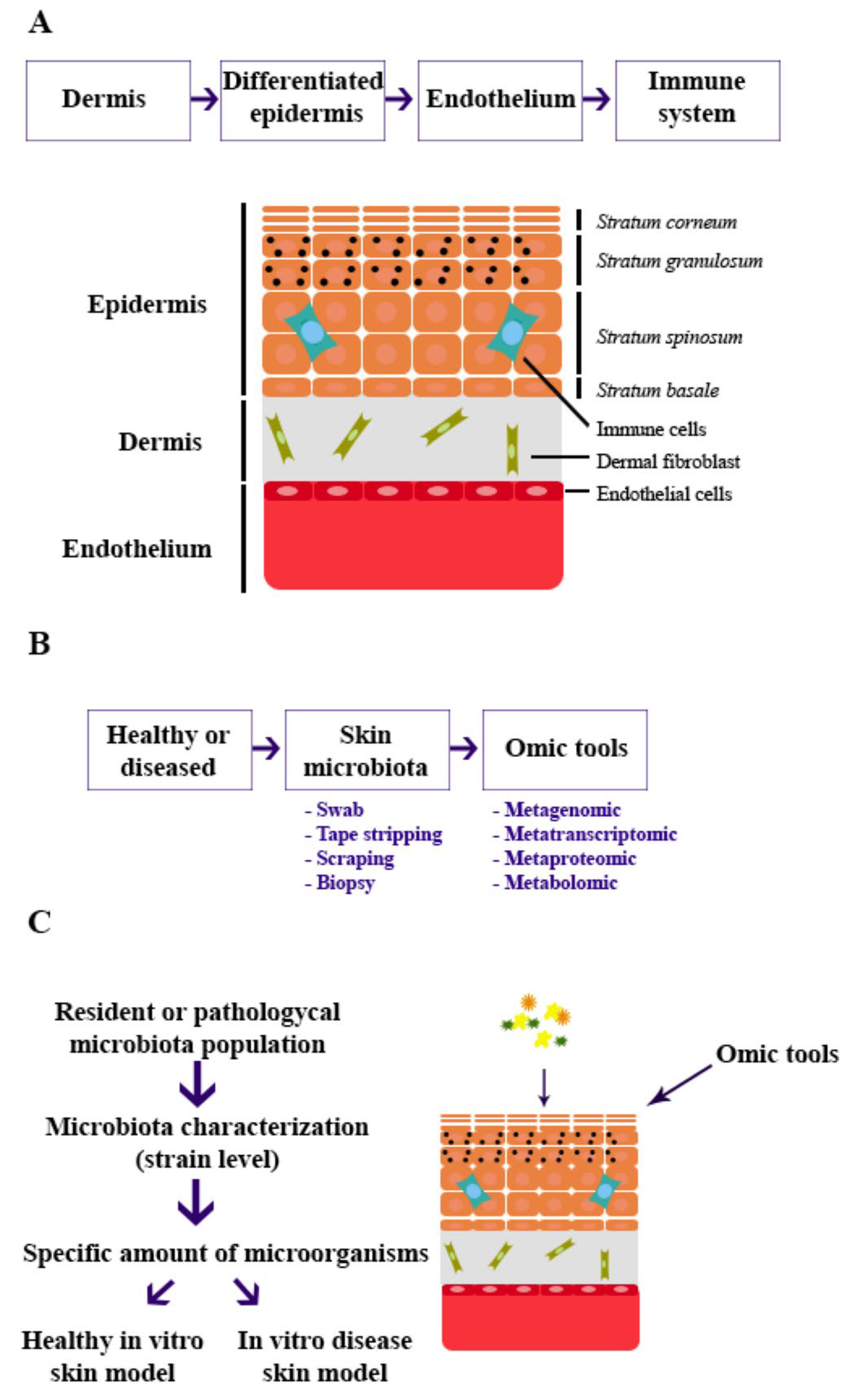 Microorganisms 13 01771 g001