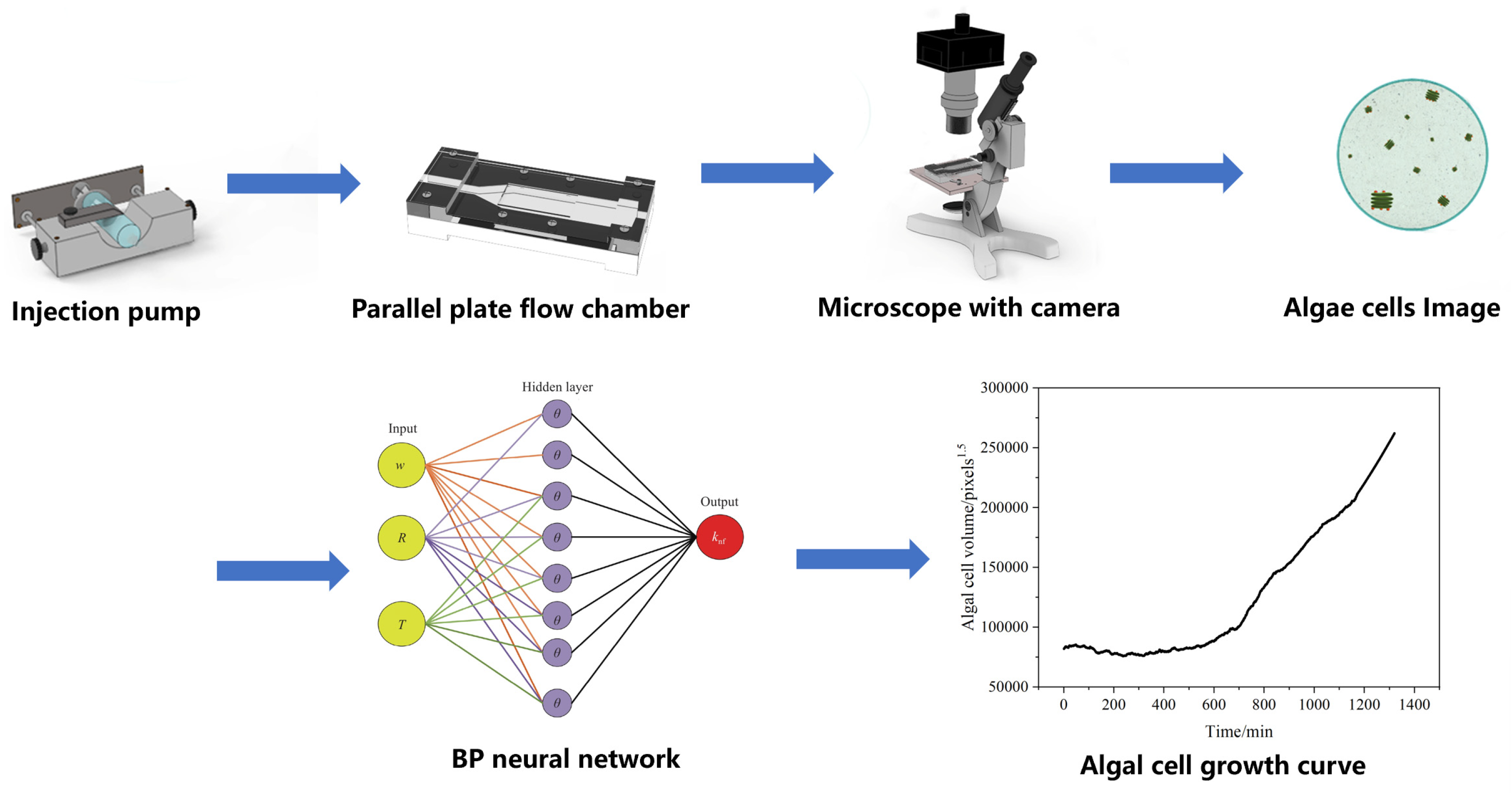 Microorganisms 13 01776 g001
