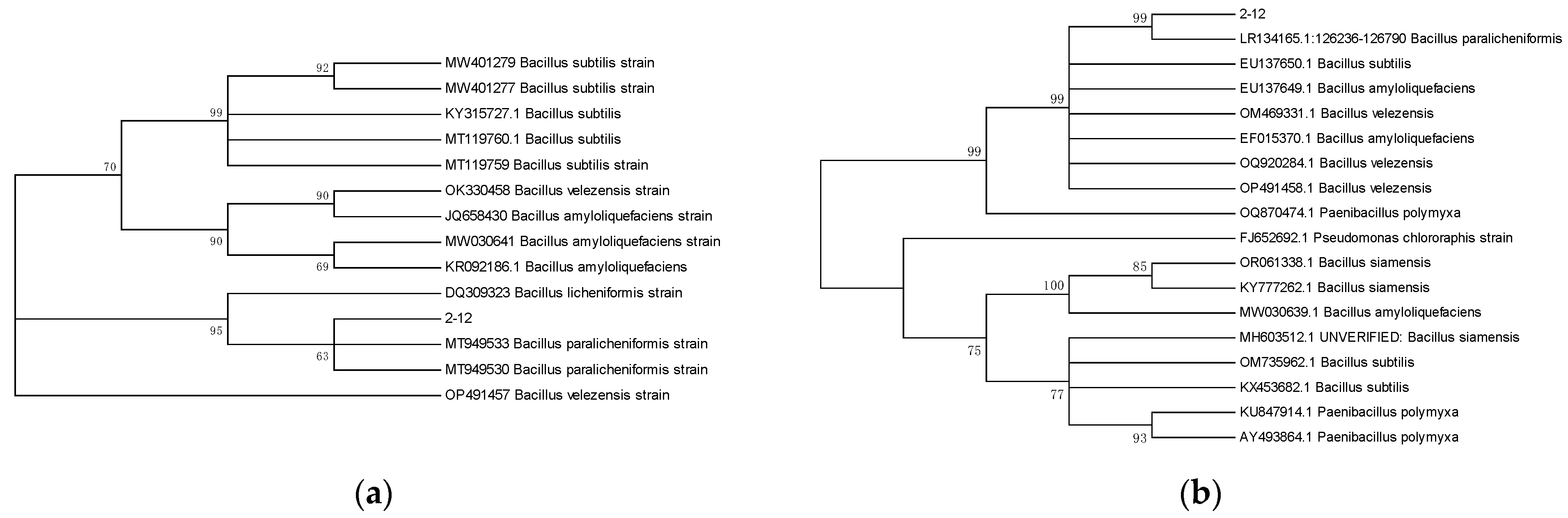 Microorganisms 13 01782 g003