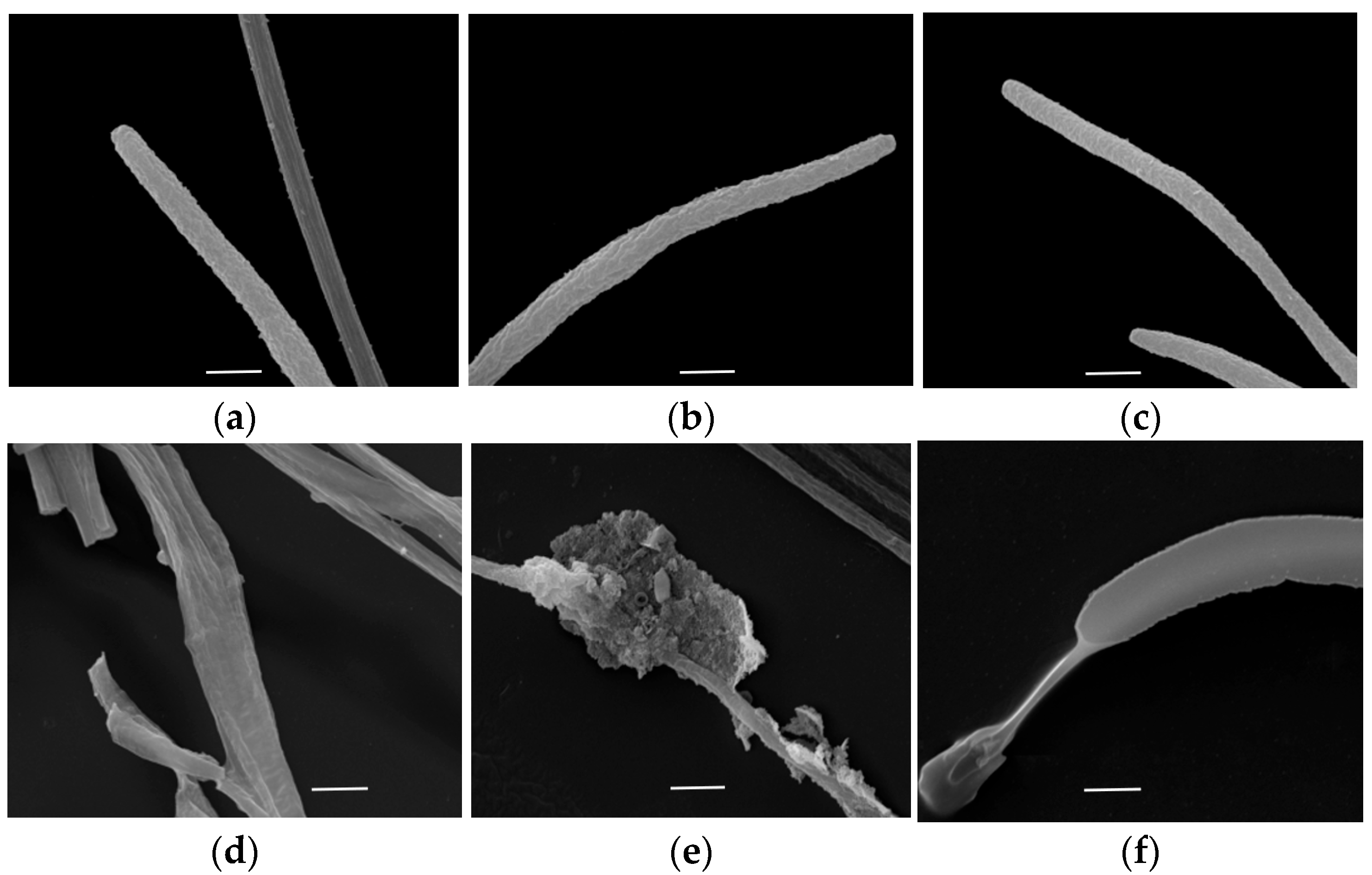 Microorganisms 13 01782 g004