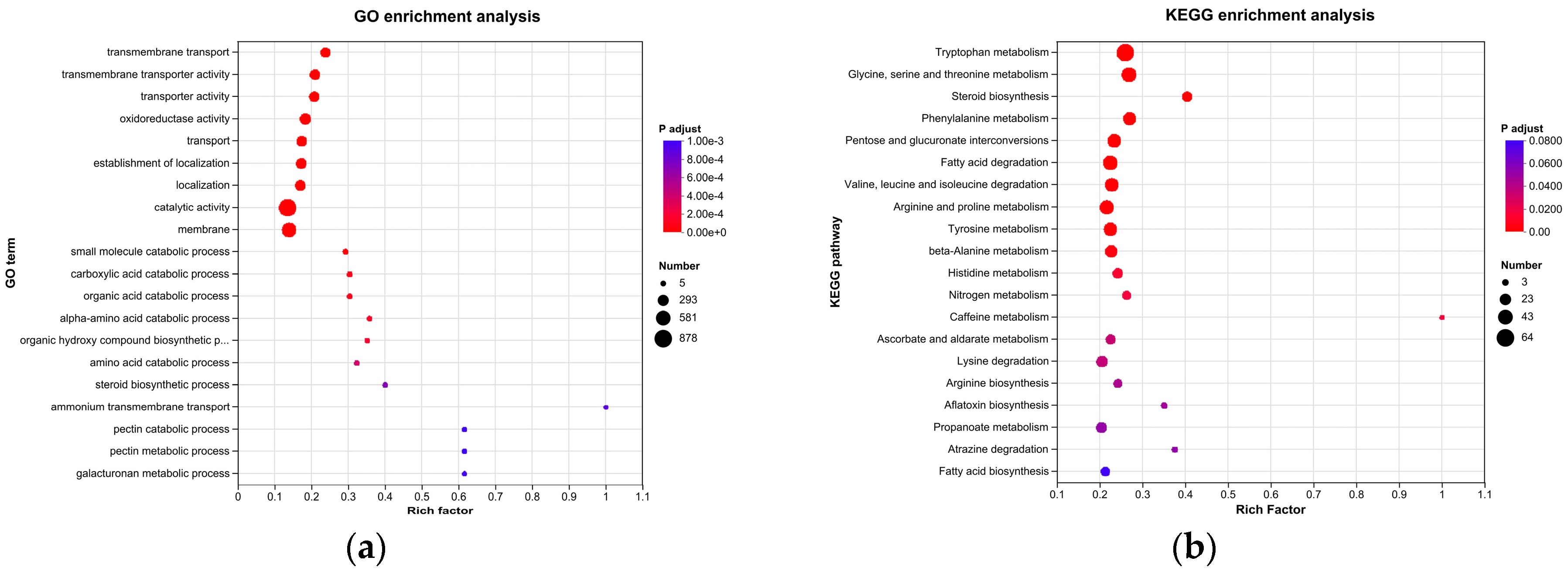 Microorganisms 13 01782 g007
