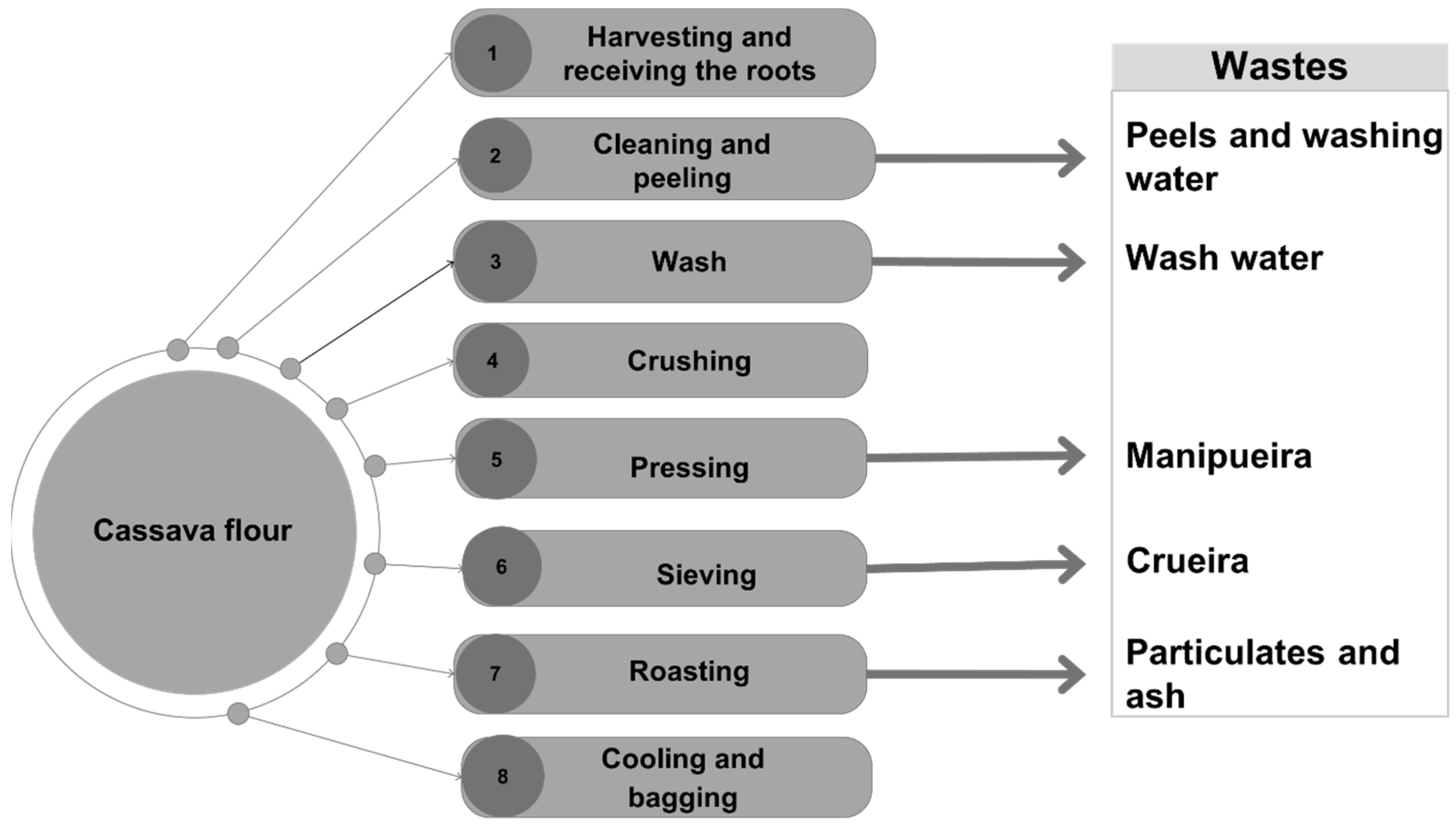 Microorganisms 13 01789 g001