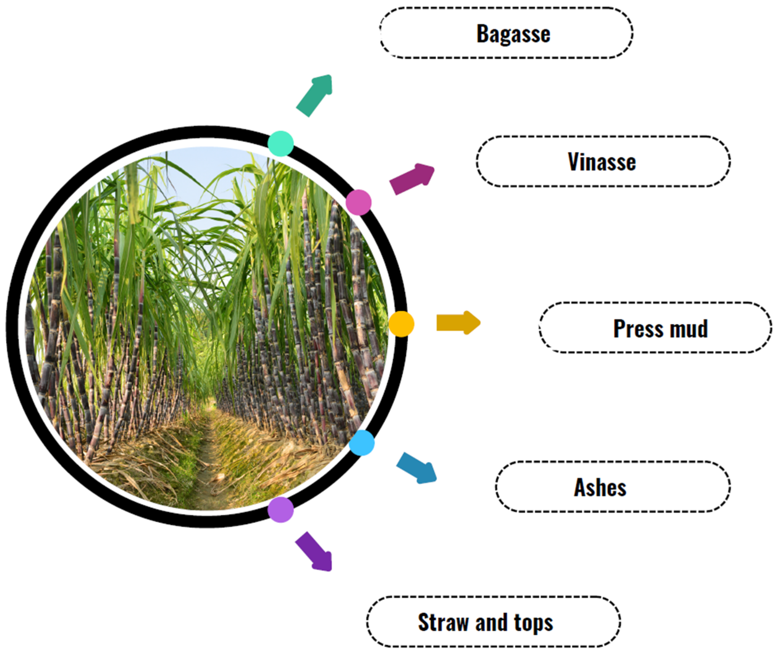 Microorganisms 13 01789 g002