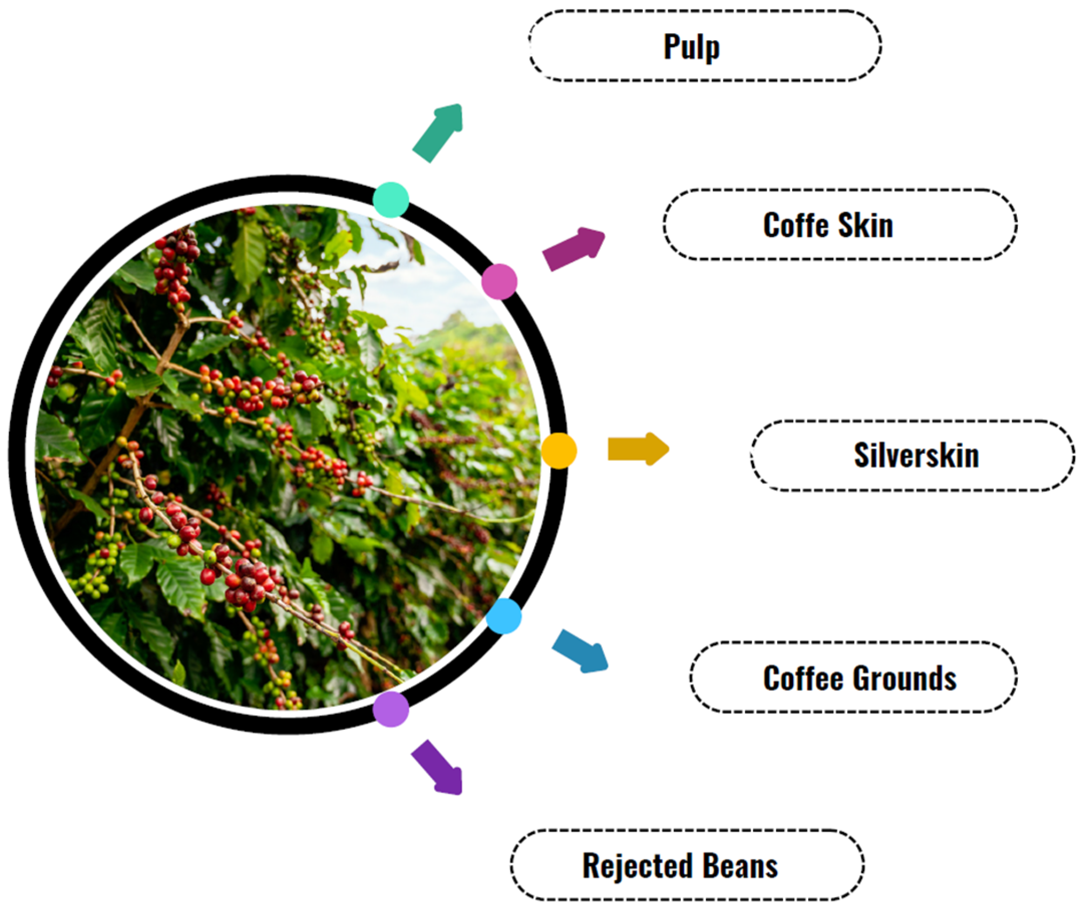 Microorganisms 13 01789 g004