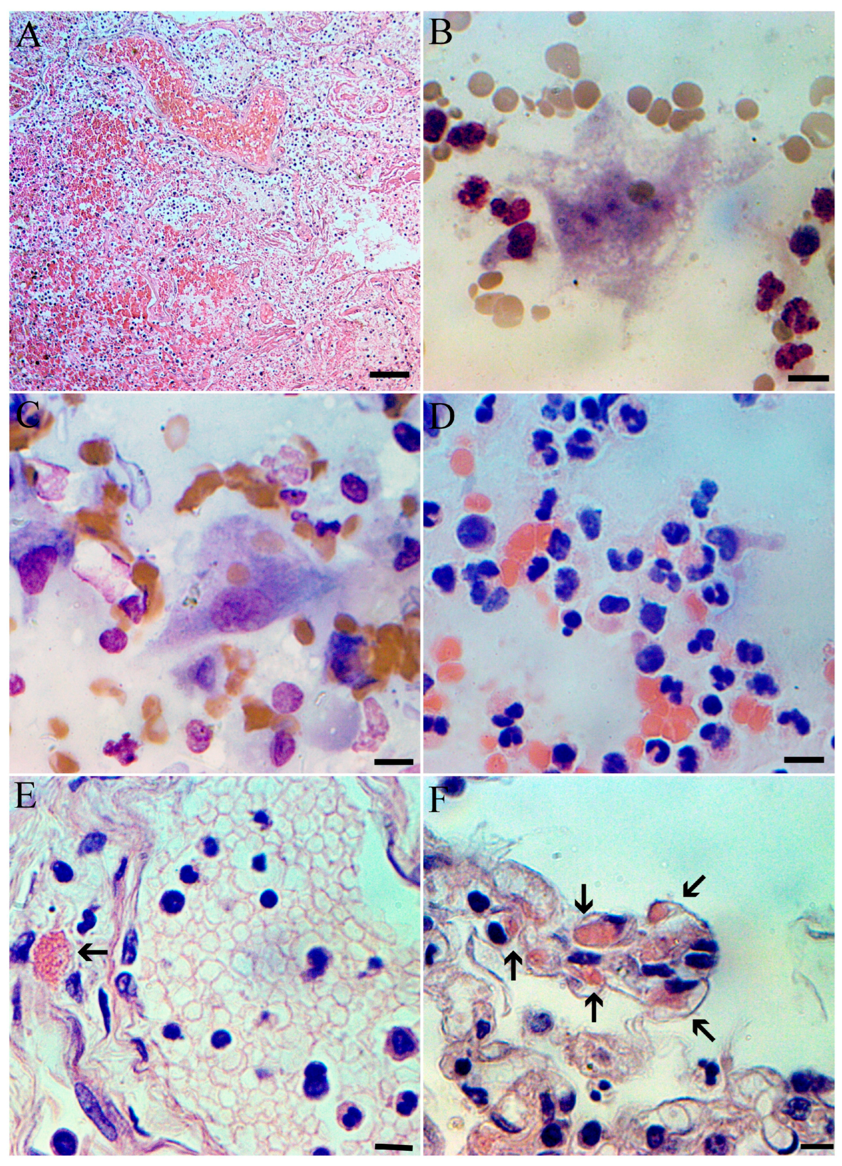 Microorganisms 13 01790 g003