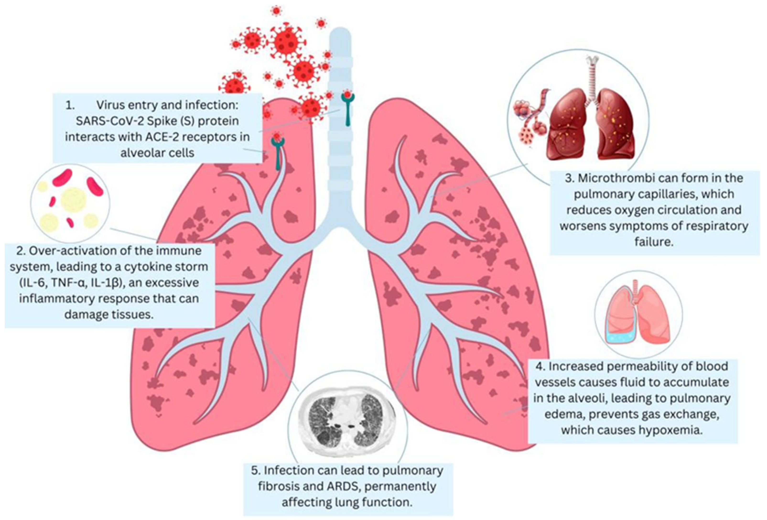 Microorganisms 13 01791 g001