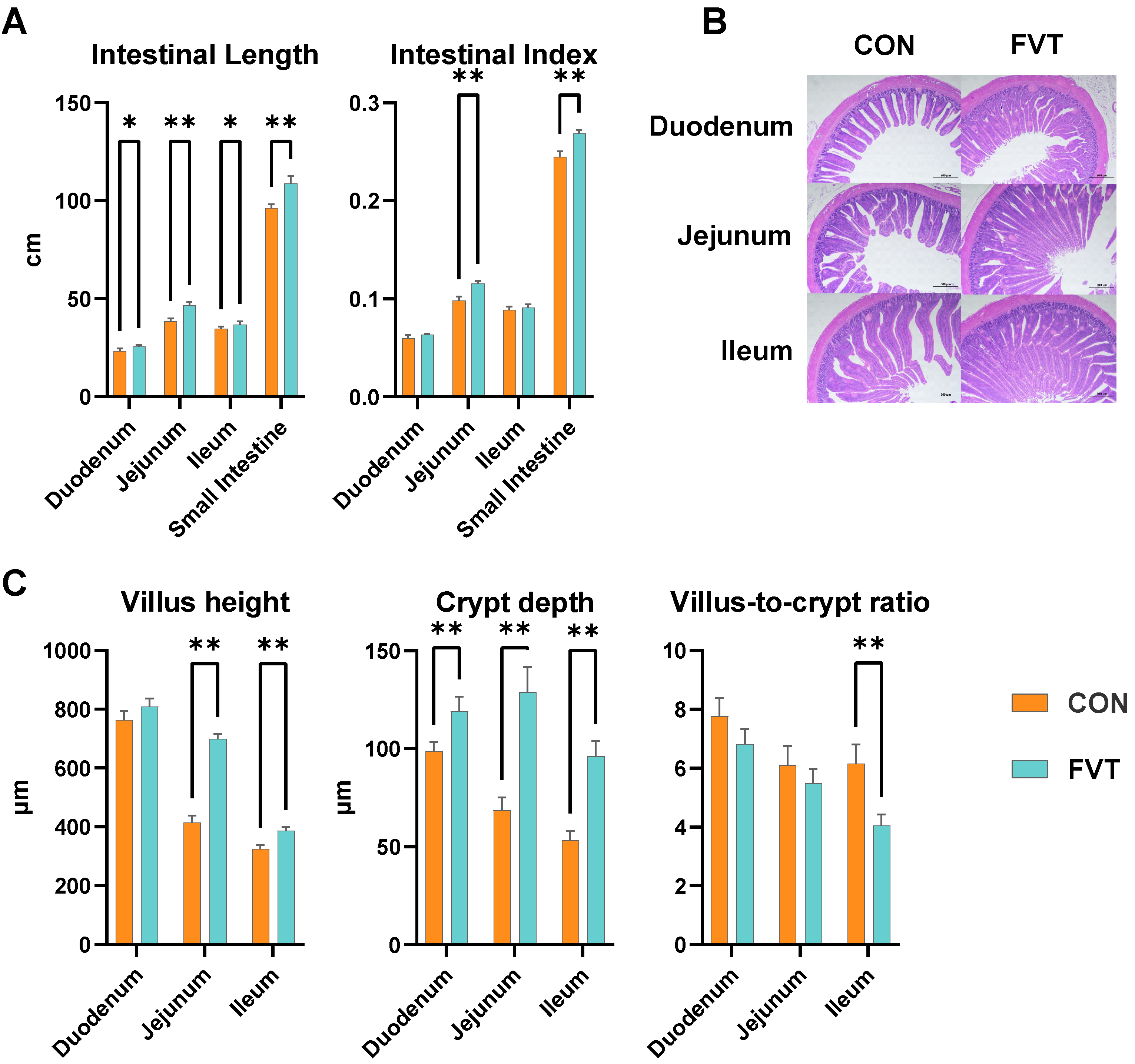 Microorganisms 13 01795 g004