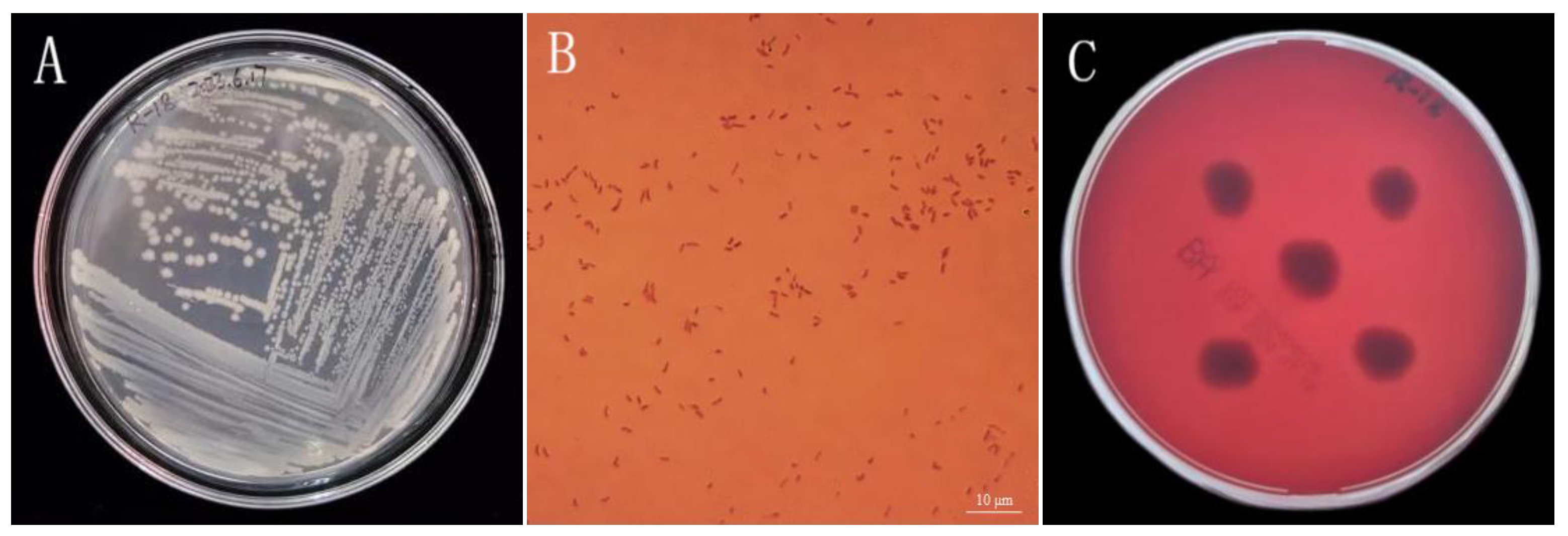 Microorganisms 13 01796 g002