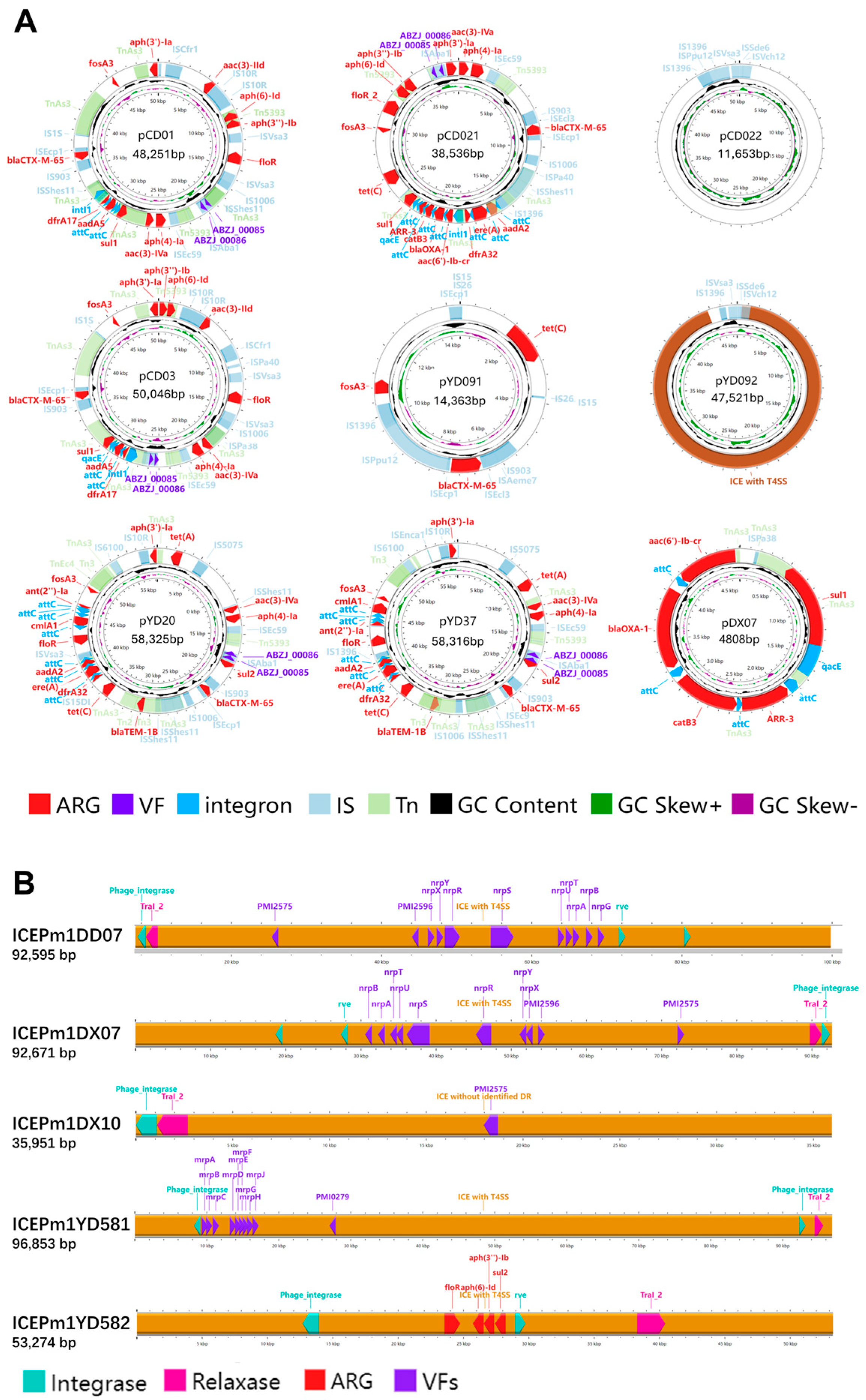 Microorganisms 13 01802 g010