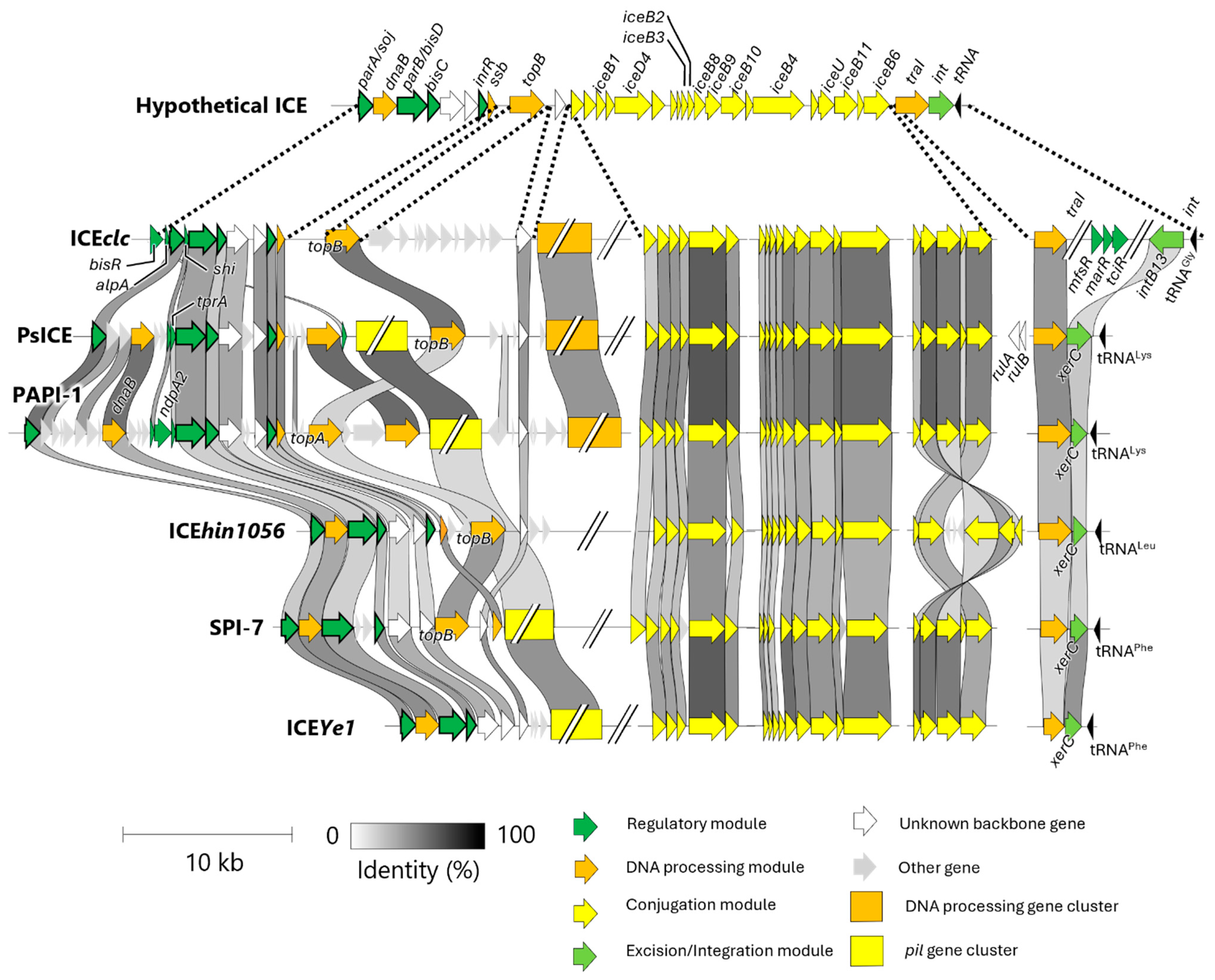 Microorganisms 13 01803 g003