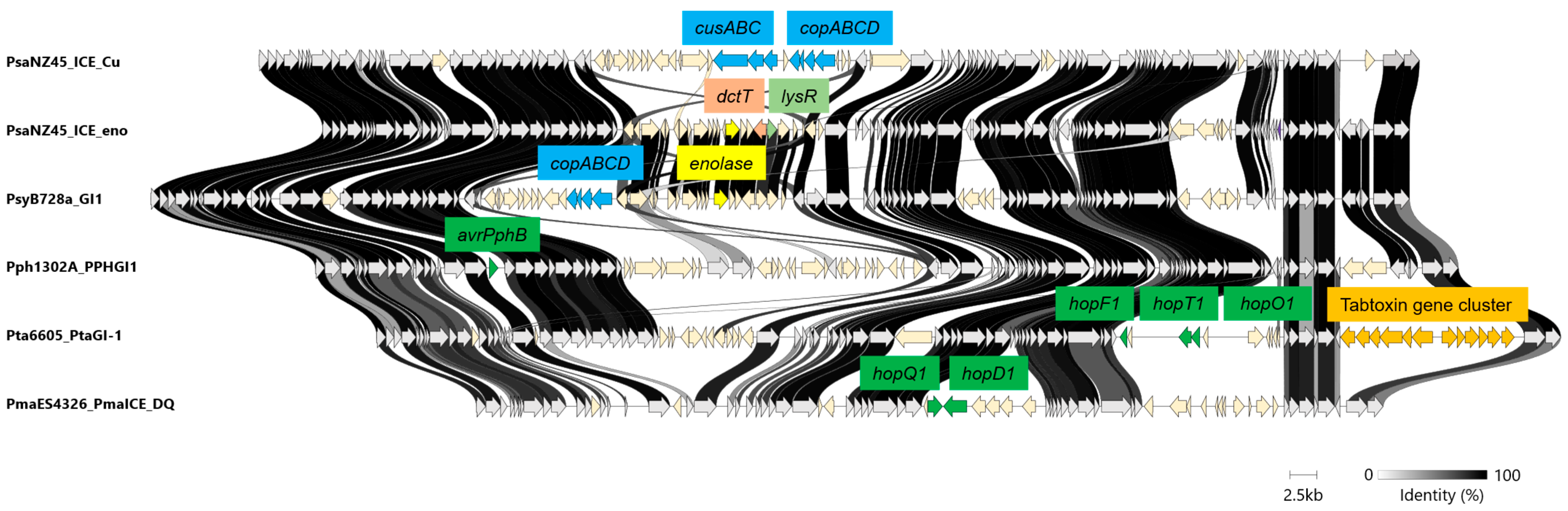 Microorganisms 13 01803 g004