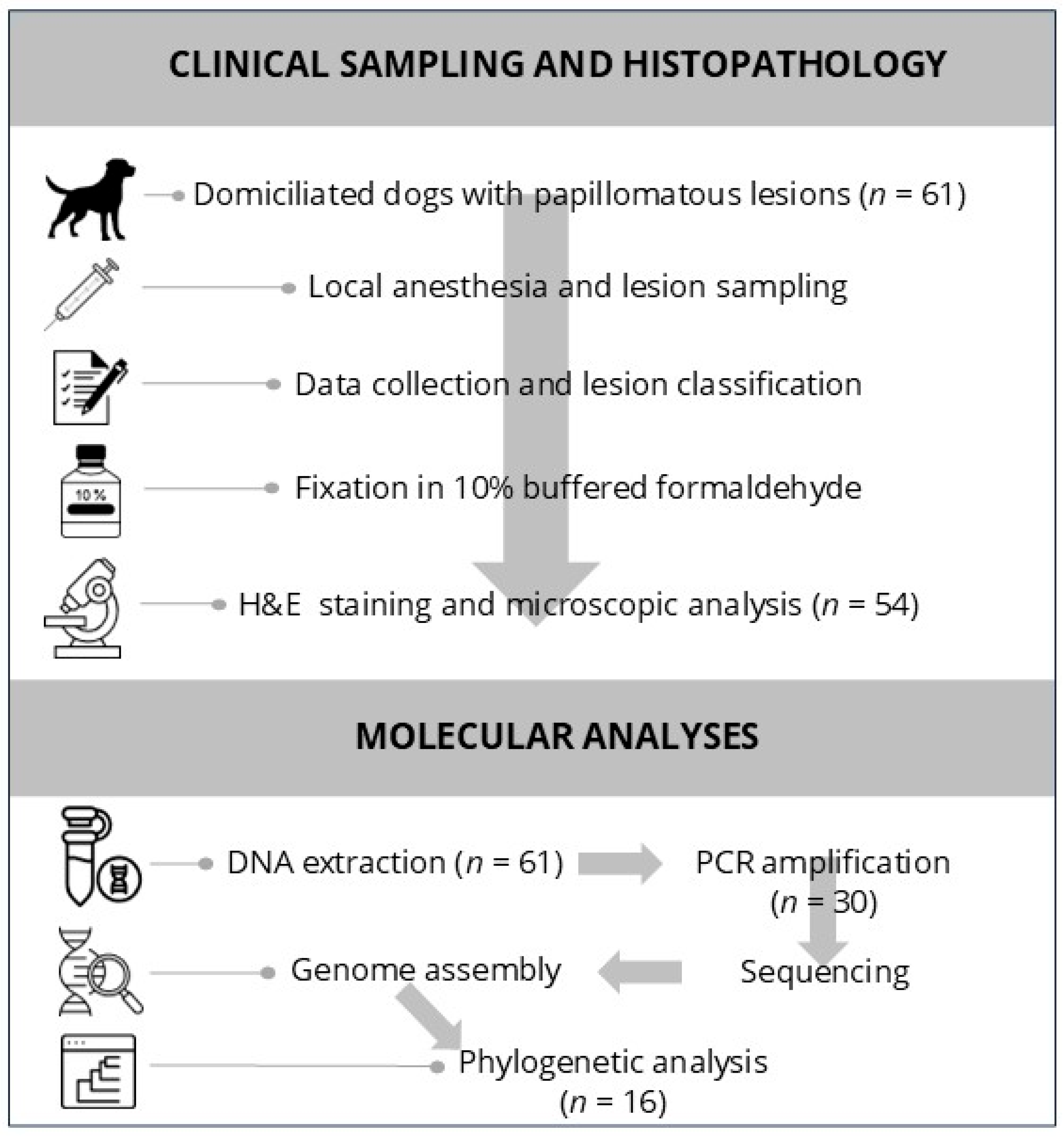Microorganisms 13 01811 g001