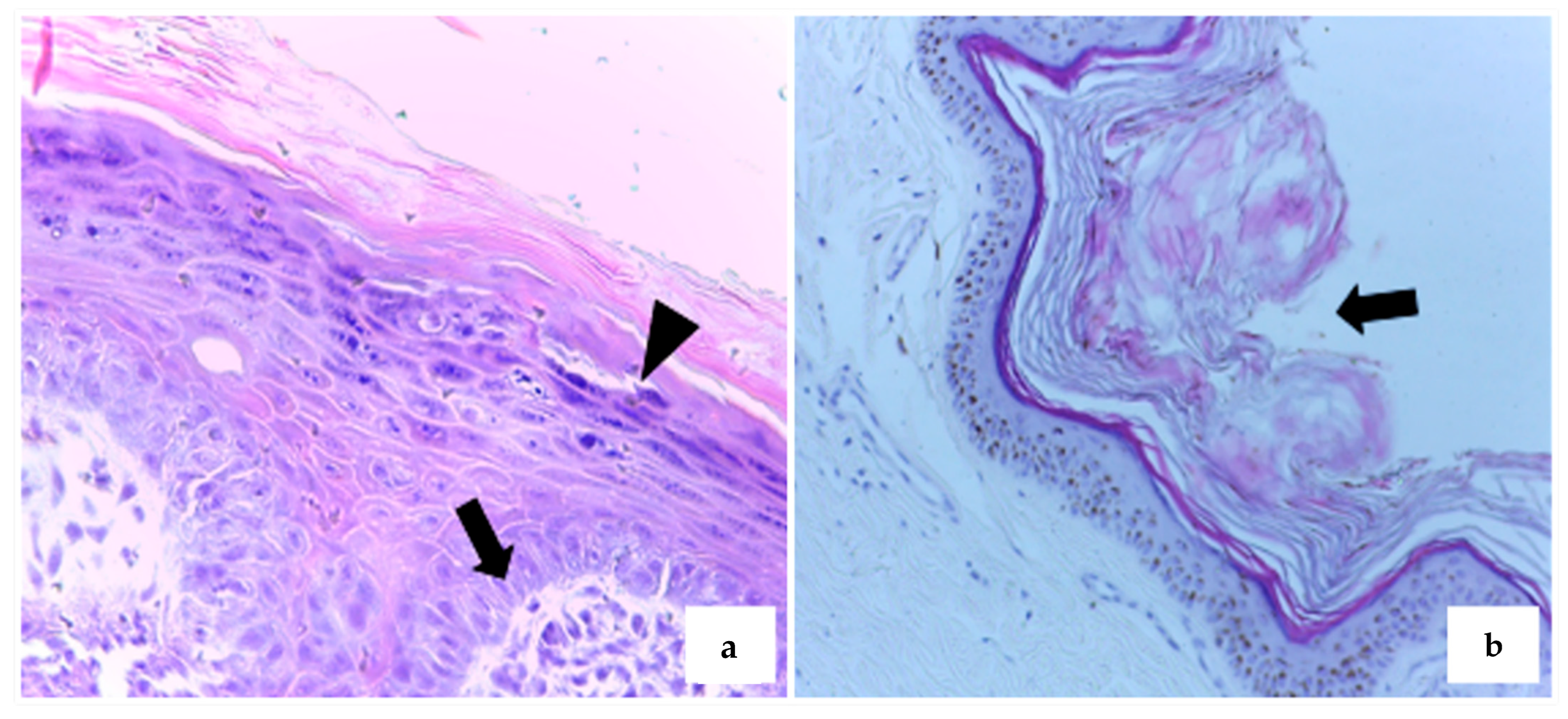 Microorganisms 13 01811 g002