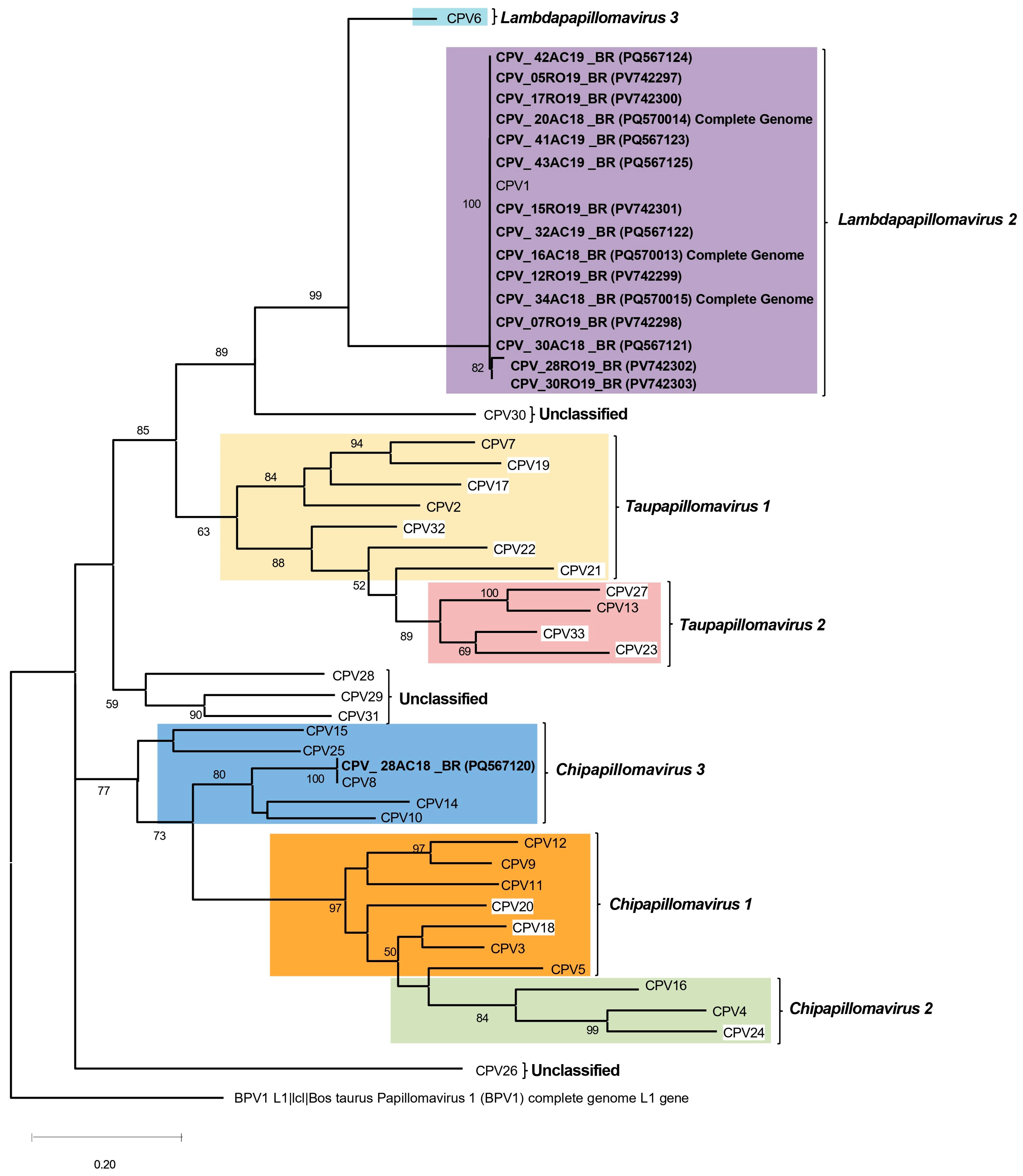 Microorganisms 13 01811 g005