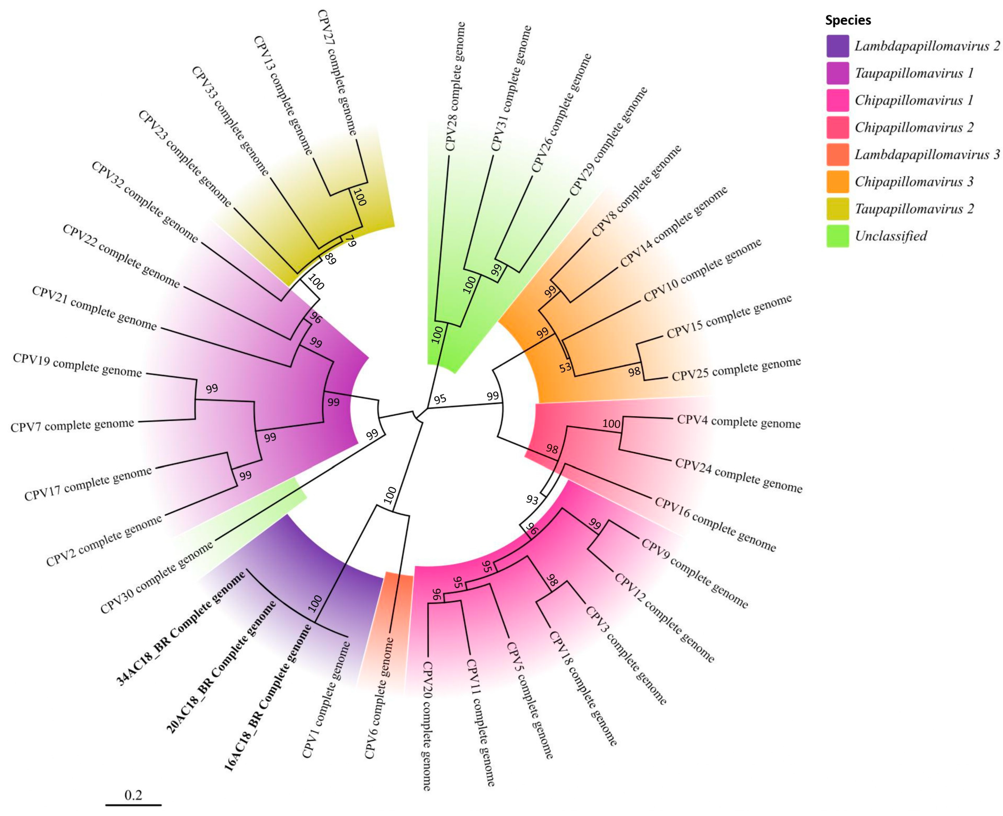 Microorganisms 13 01811 g006