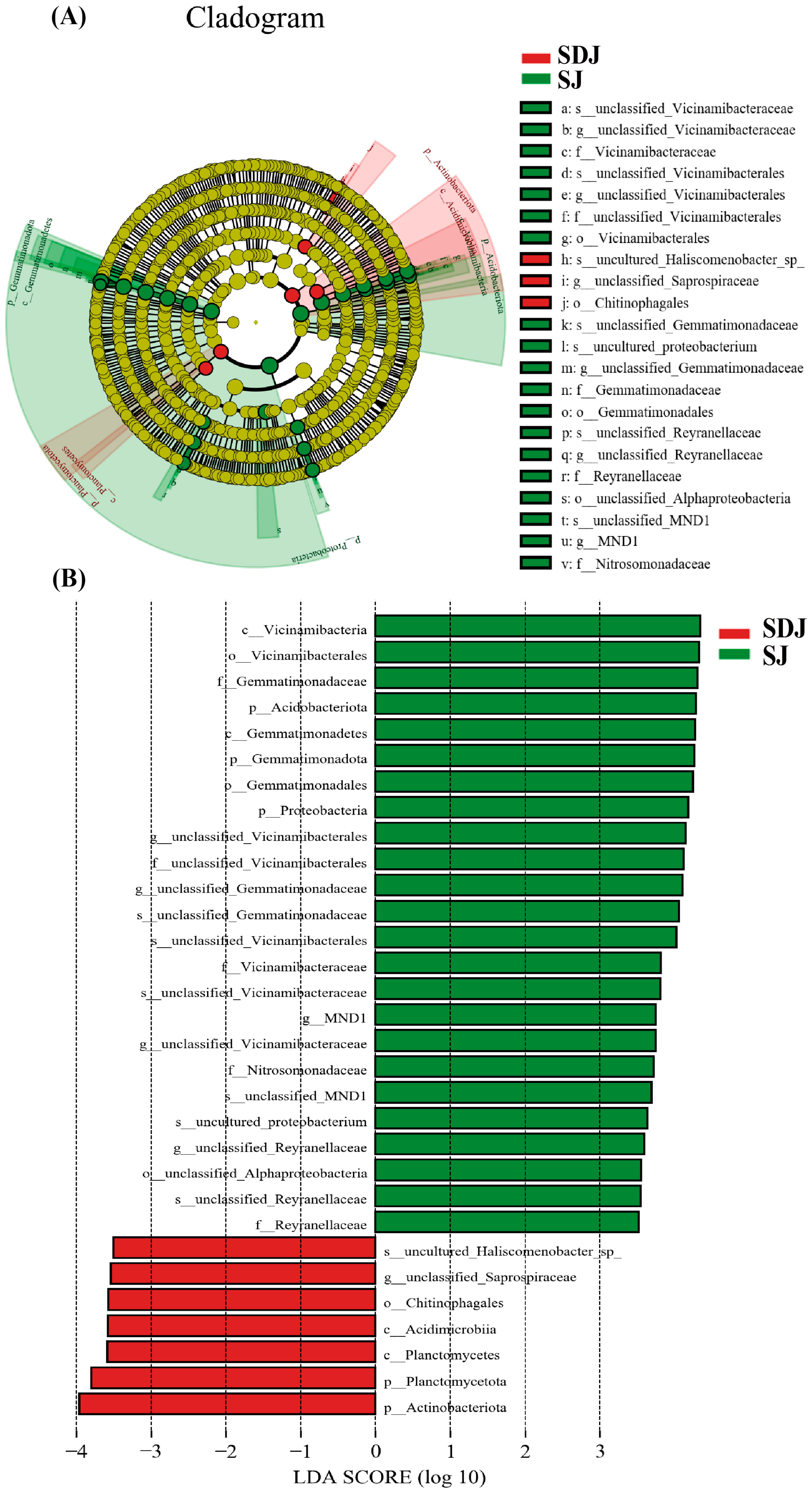 Microorganisms 13 01820 g008
