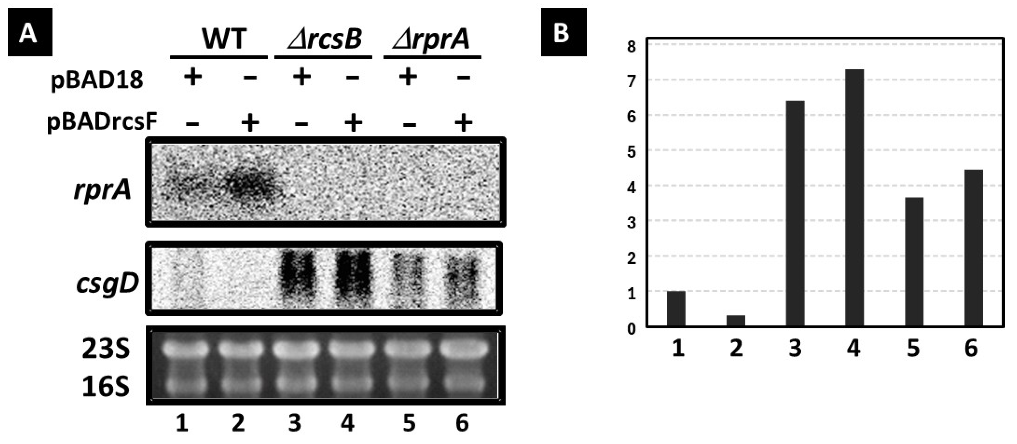 Microorganisms 13 01829 g001