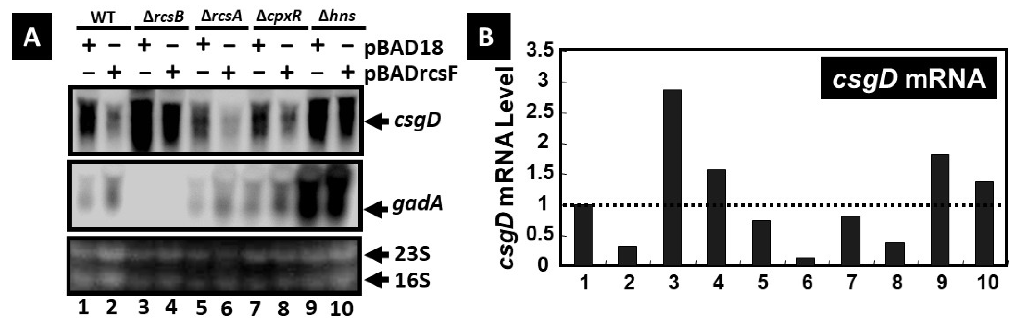 Microorganisms 13 01829 g003