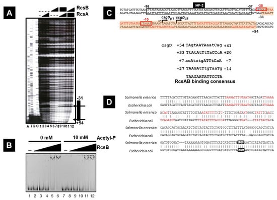 Microorganisms 13 01829 g004
