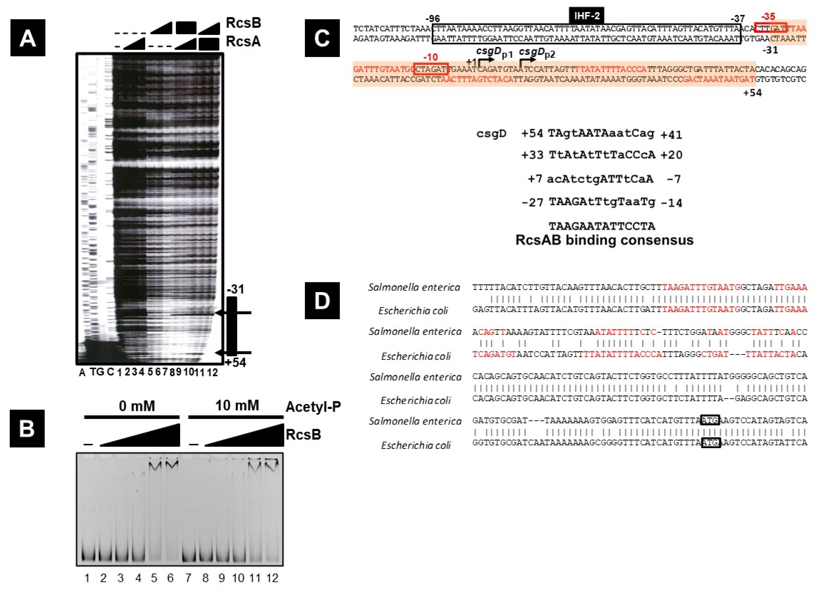 Microorganisms 13 01829 g004