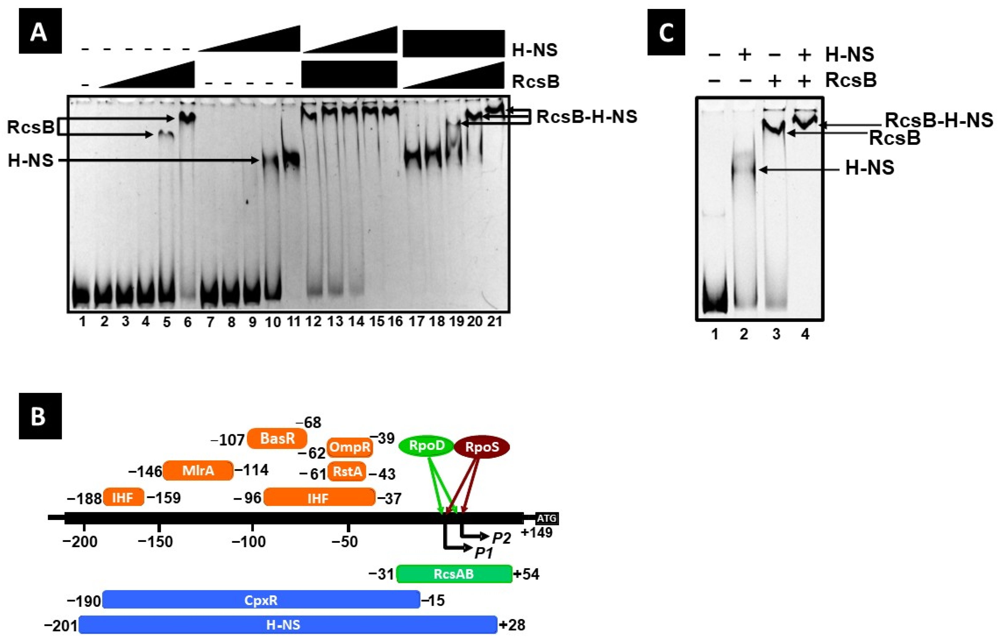 Microorganisms 13 01829 g005
