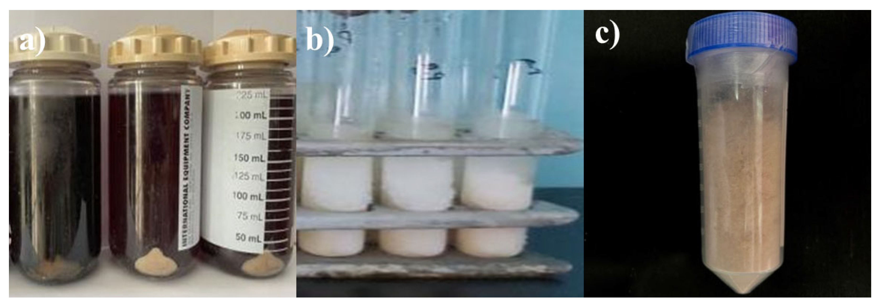 Microorganisms 13 01831 g005
