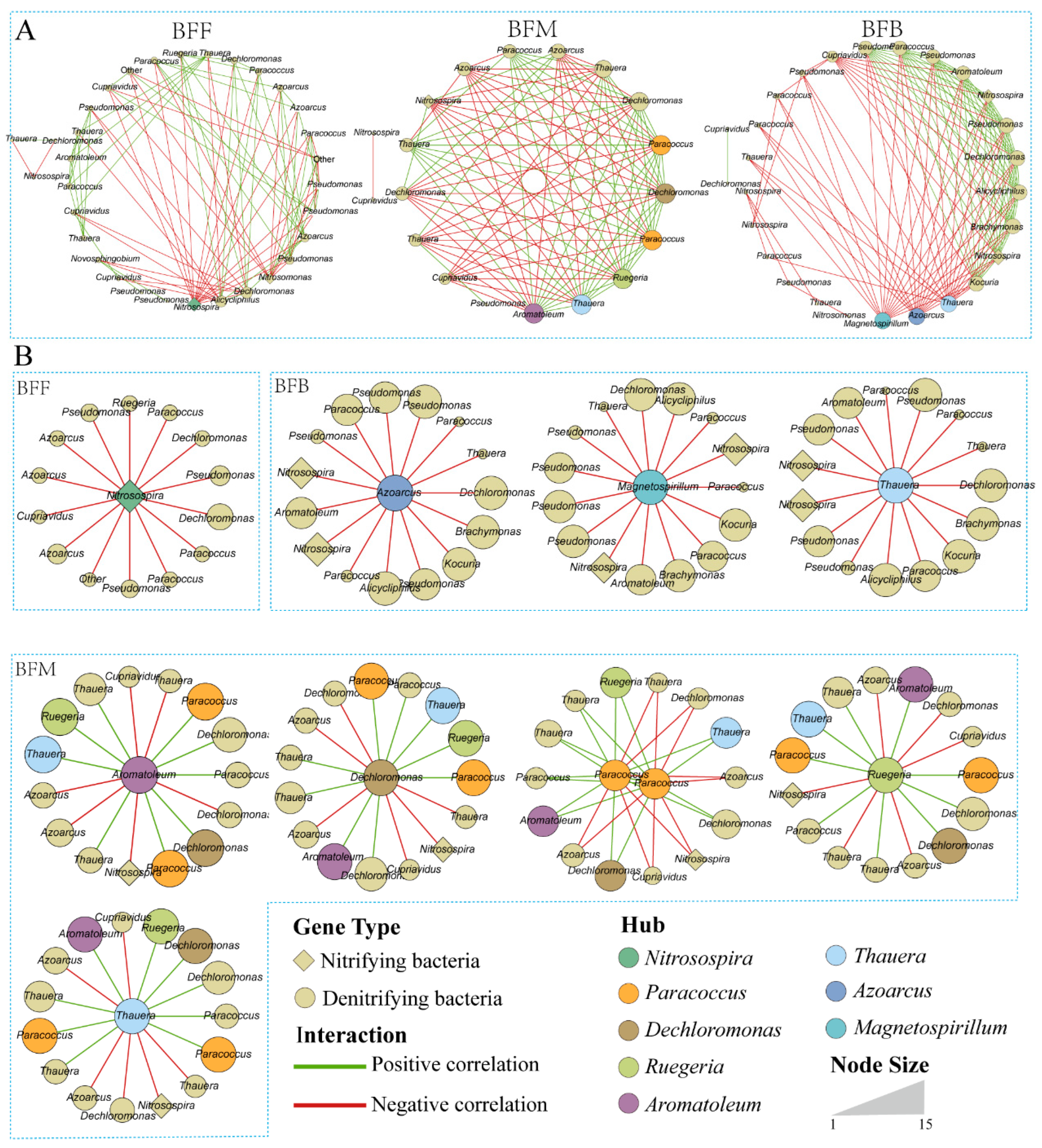 Microorganisms 13 01833 g004