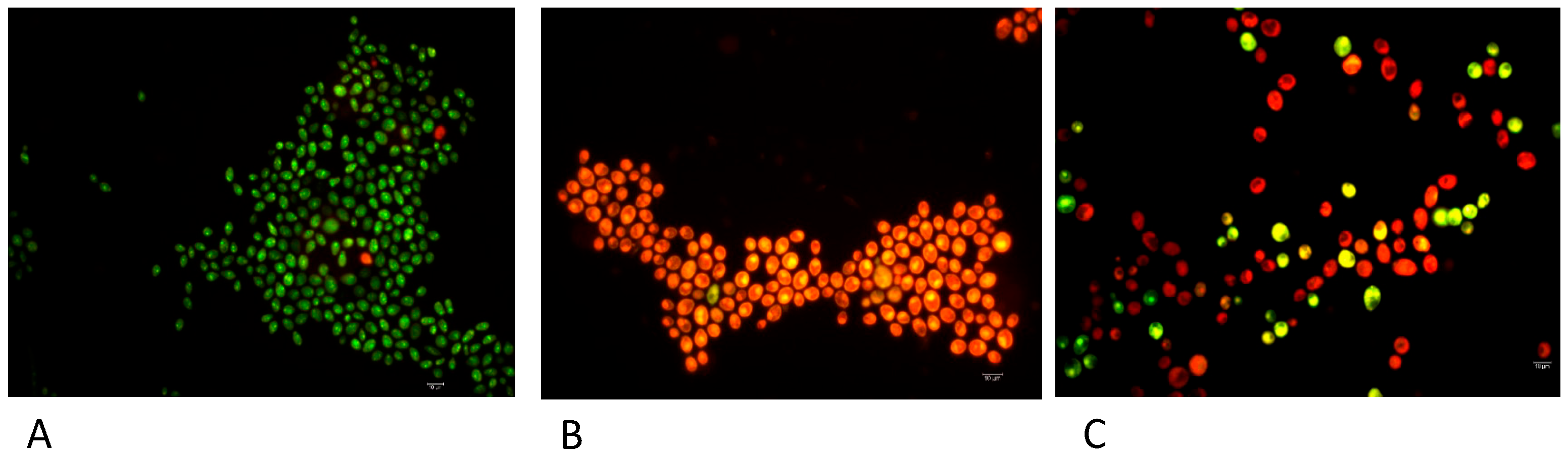 Microorganisms 13 01835 g002