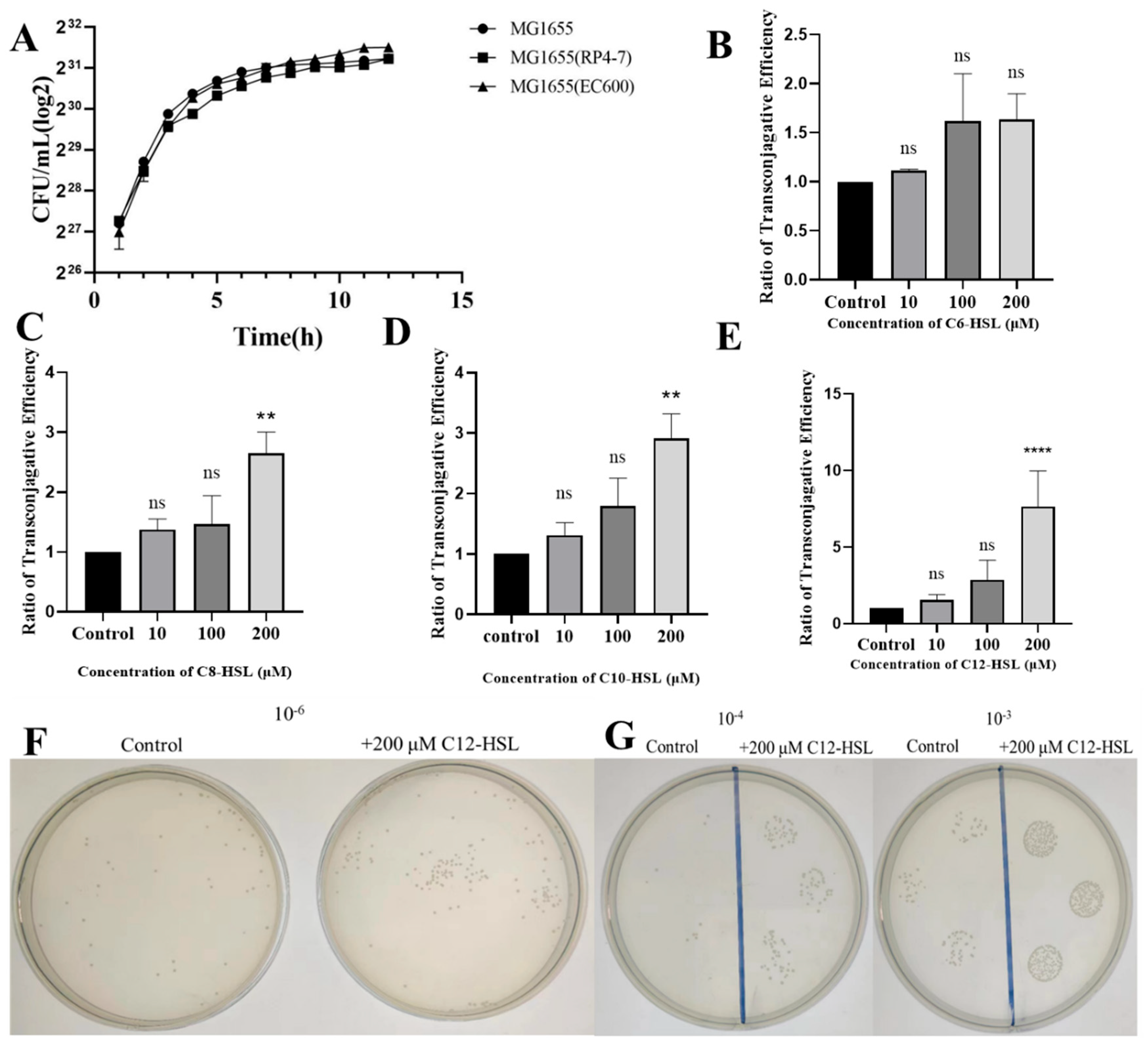 Microorganisms 13 01837 g001