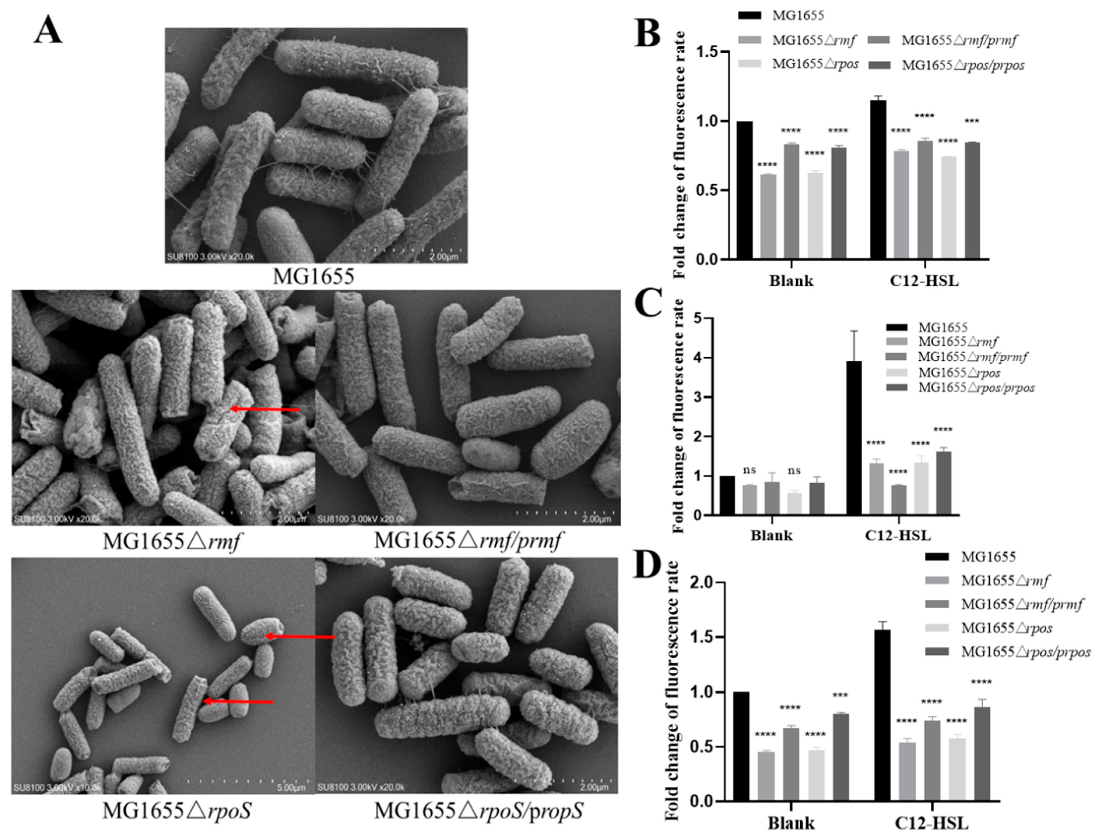 Microorganisms 13 01837 g006