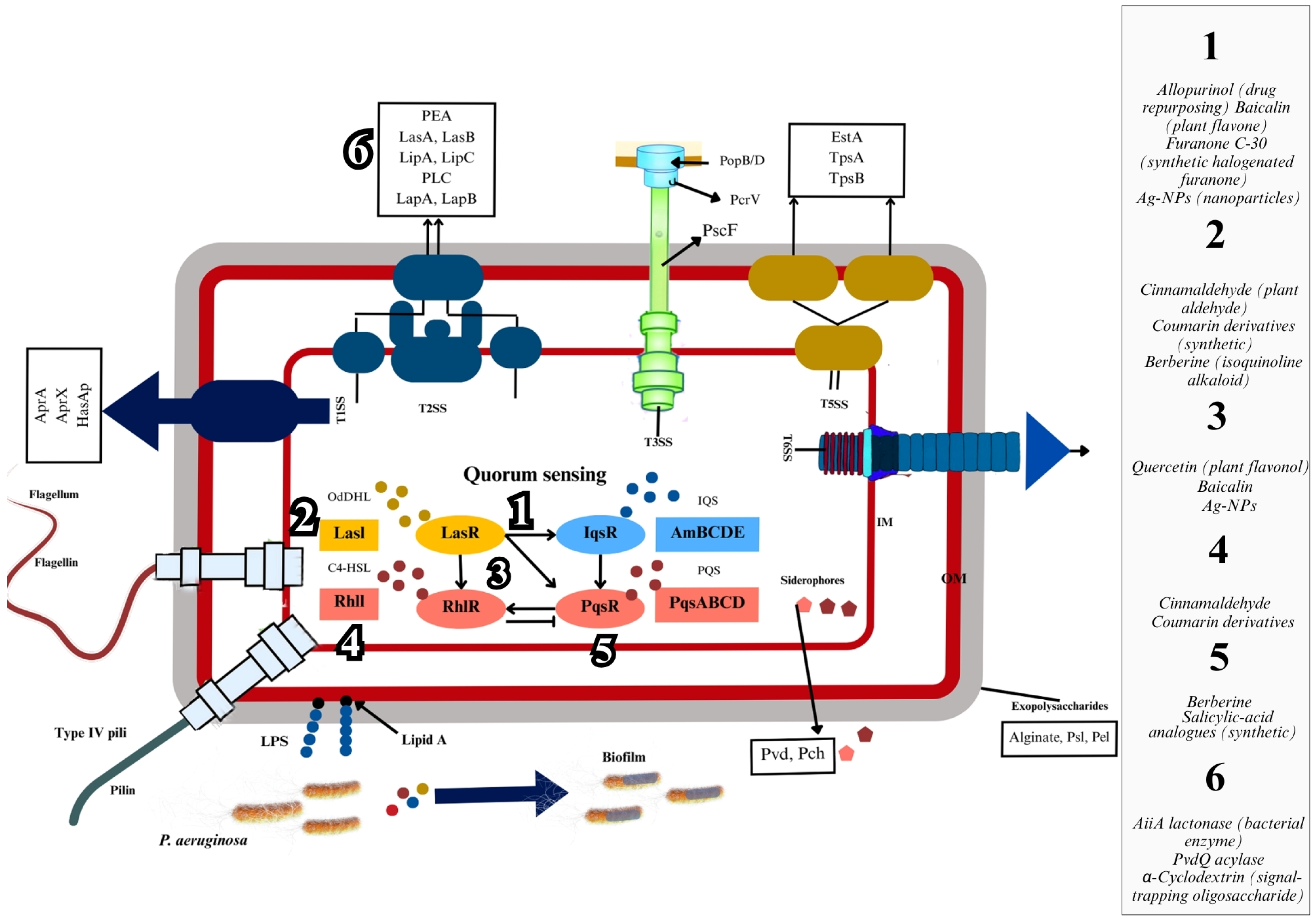 Microorganisms 13 01838 g001