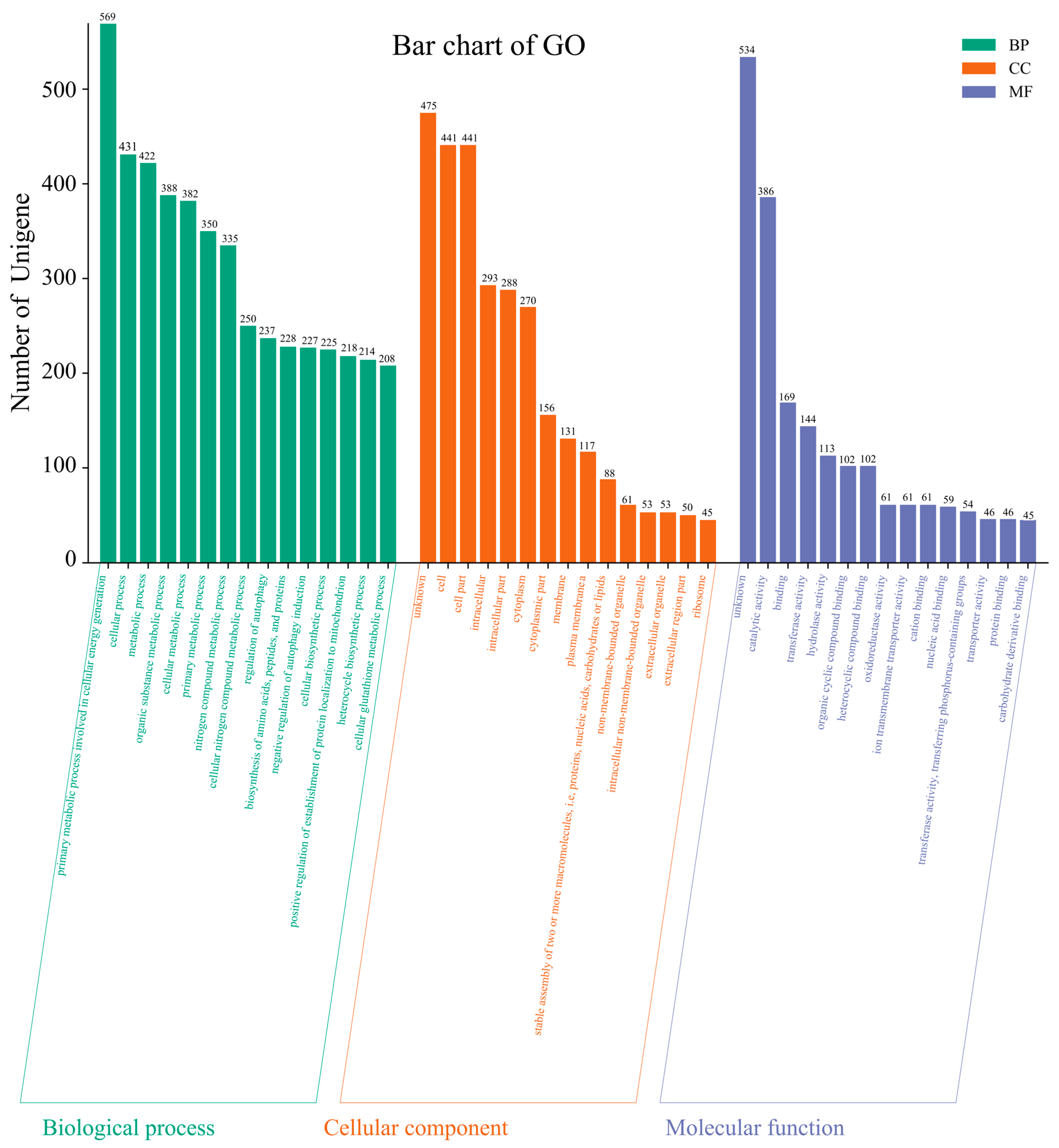 Microorganisms 13 01839 g008
