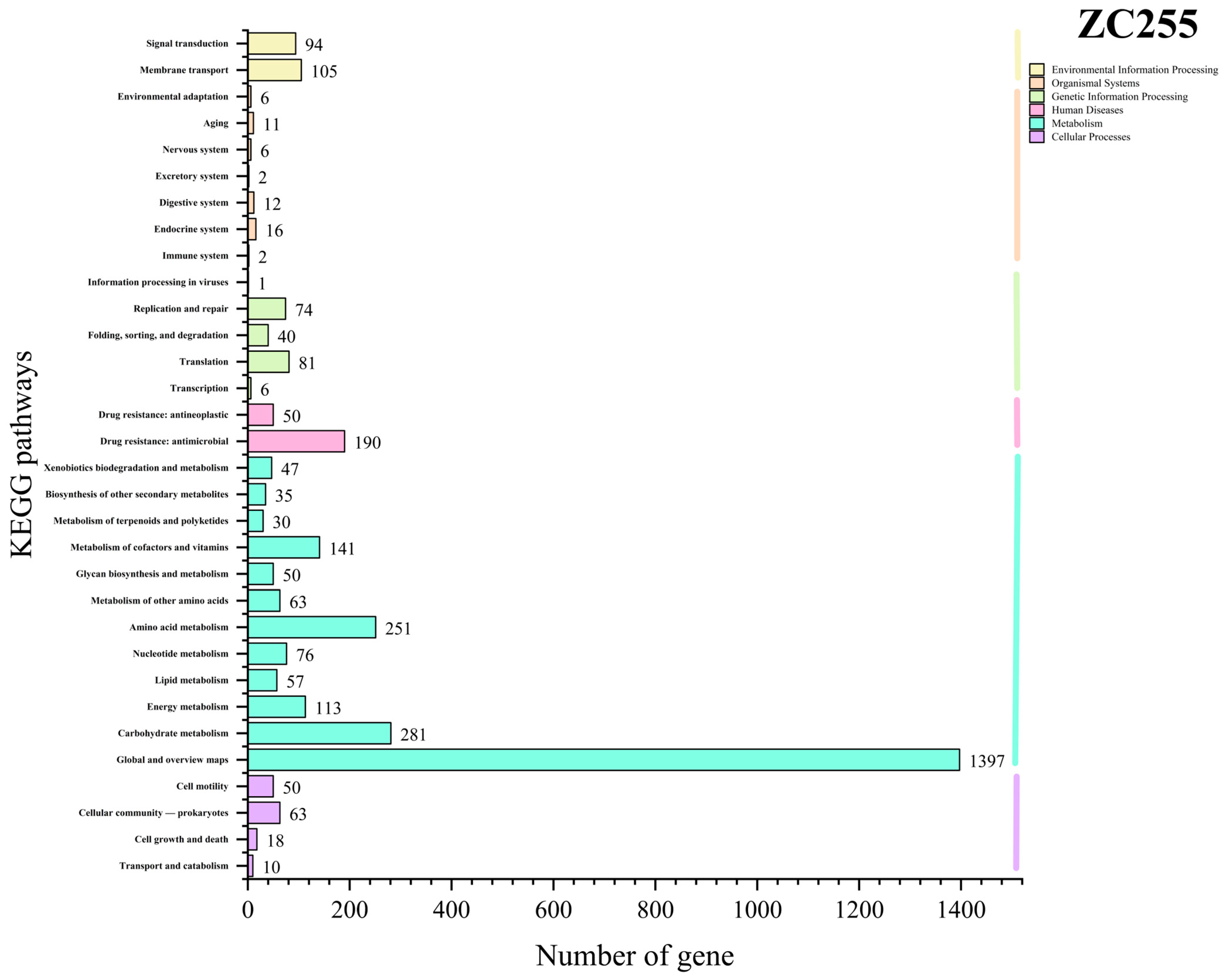 Microorganisms 13 01839 g009