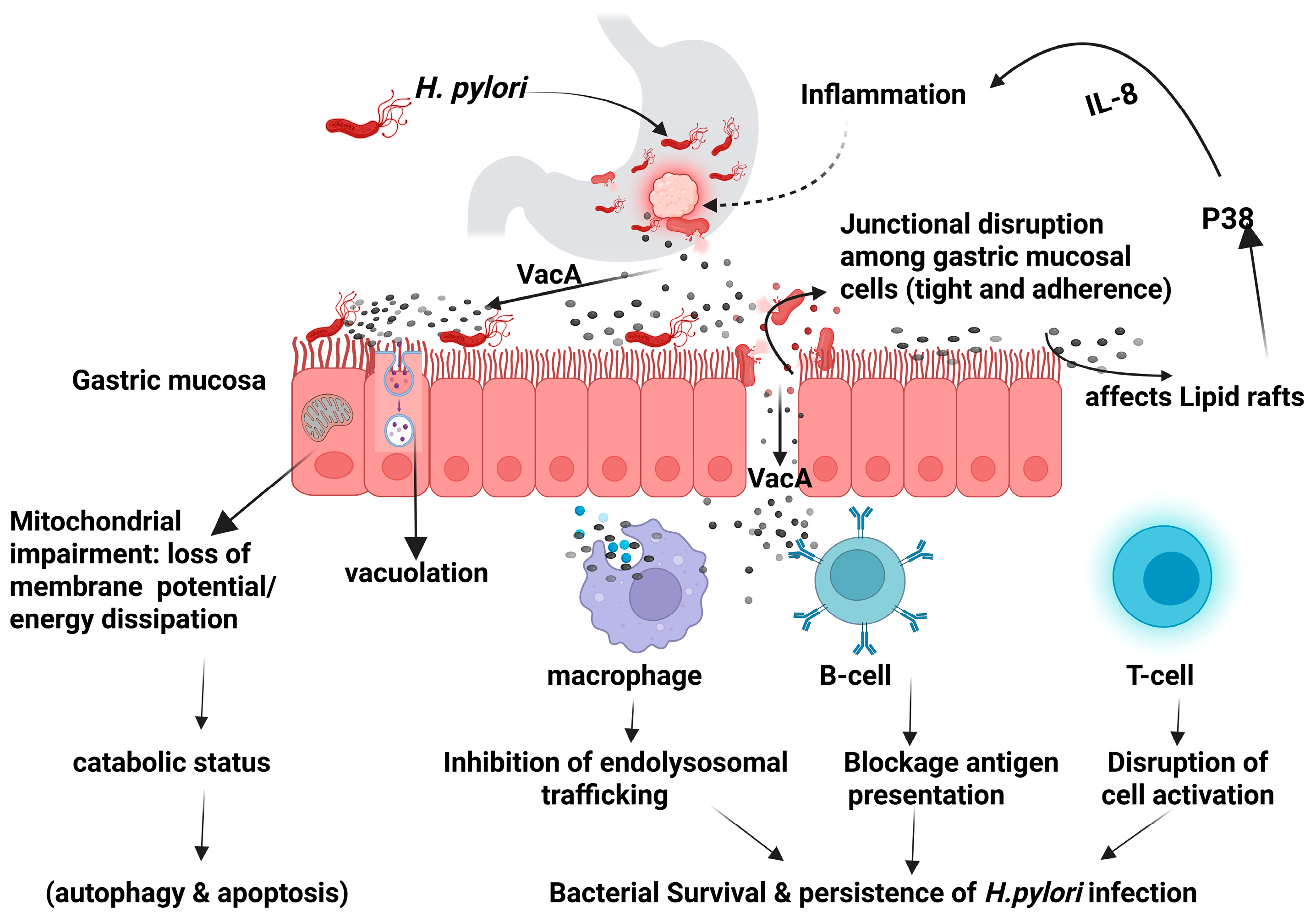 Microorganisms 13 01841 g001