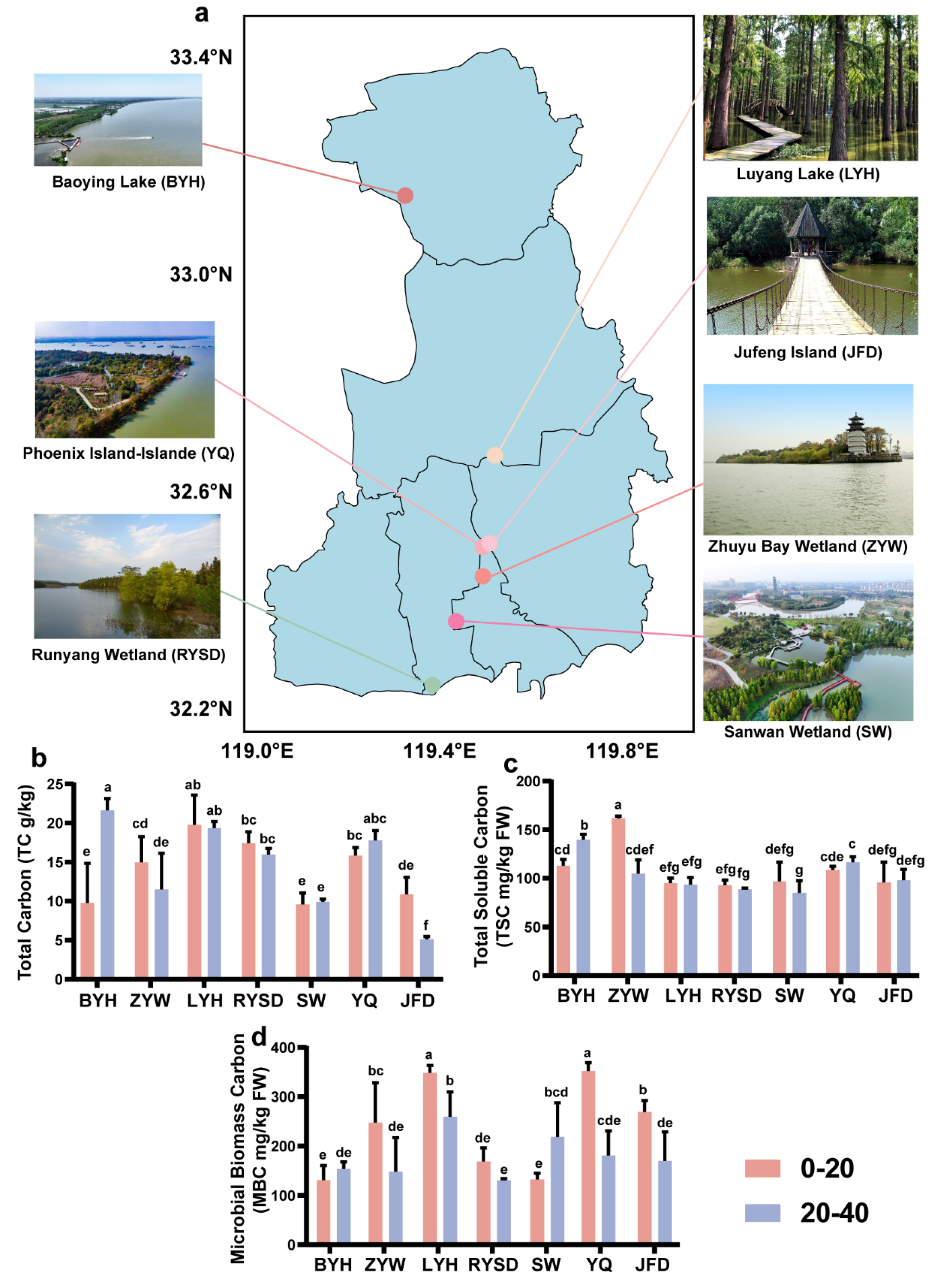 Microorganisms 13 01843 g001 Microorganisms 13 01843 g001