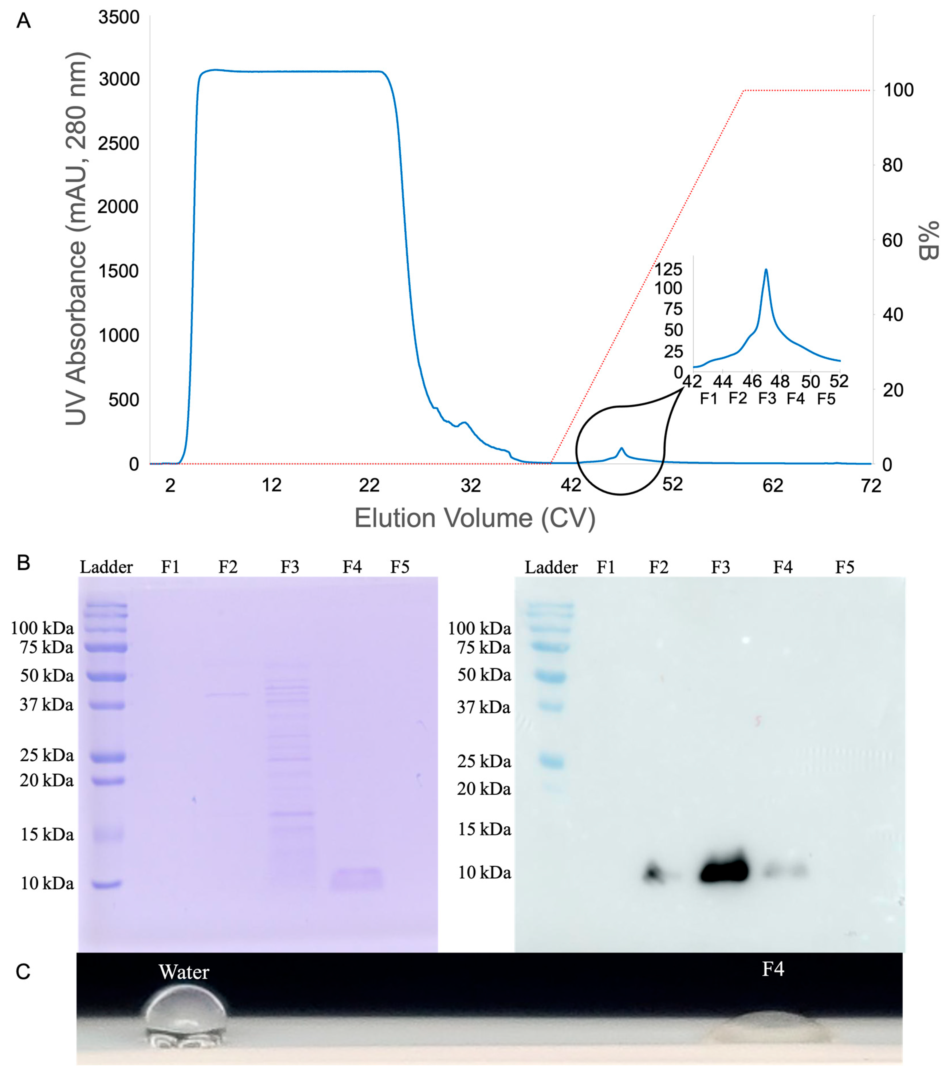 Microorganisms 13 01845 g005