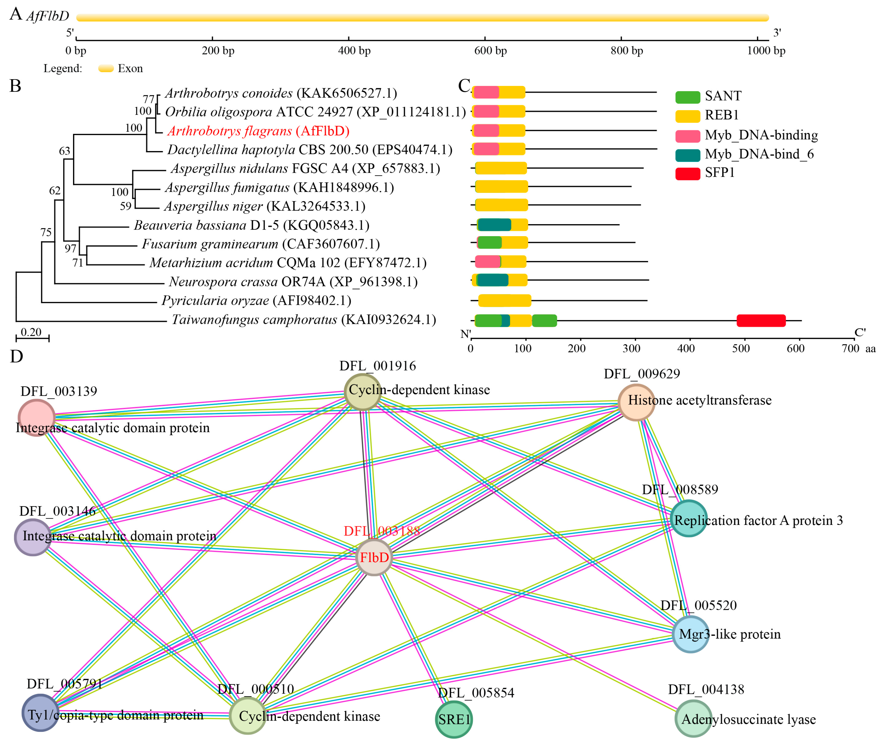 Microorganisms 13 01847 g001