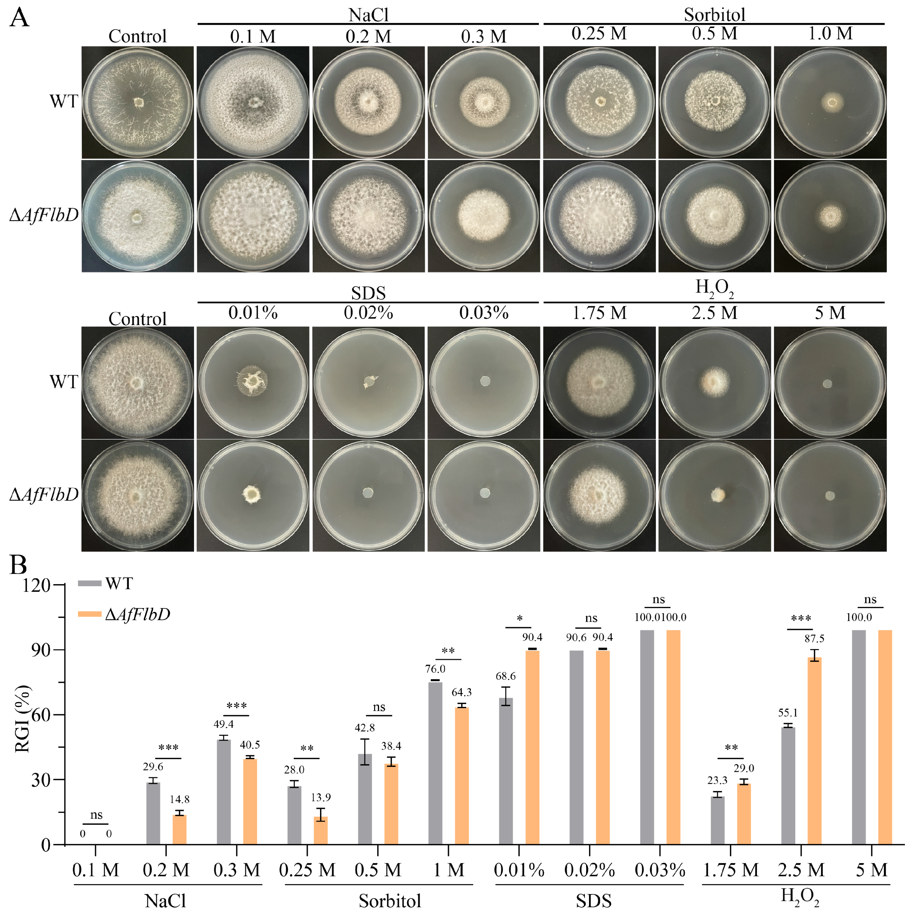 Microorganisms 13 01847 g004